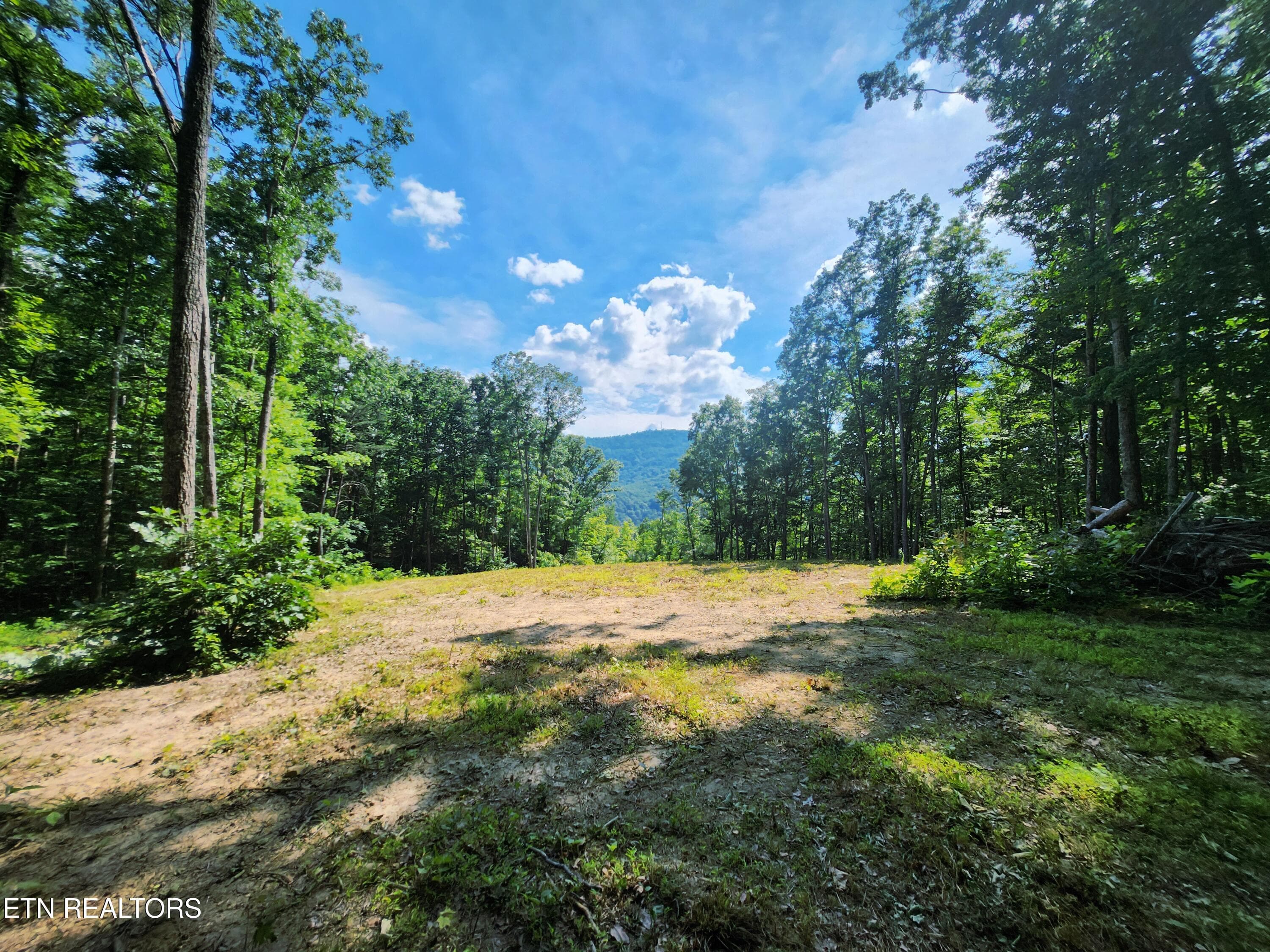 1 - 183 Persimmon Lane, Pioneer, TN 37847, Pioneer
