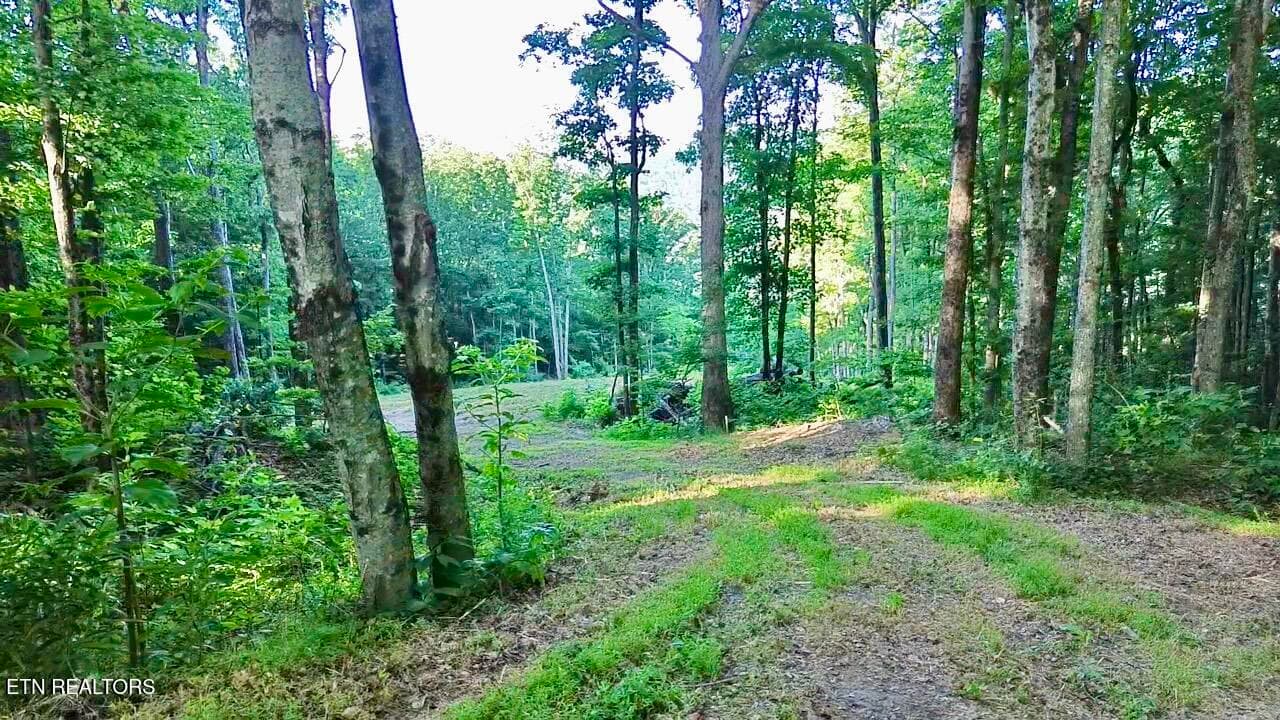 2026-06-13-08-20-44-671 - 183 Persimmon Lane, Pioneer, TN 37847, Pioneer