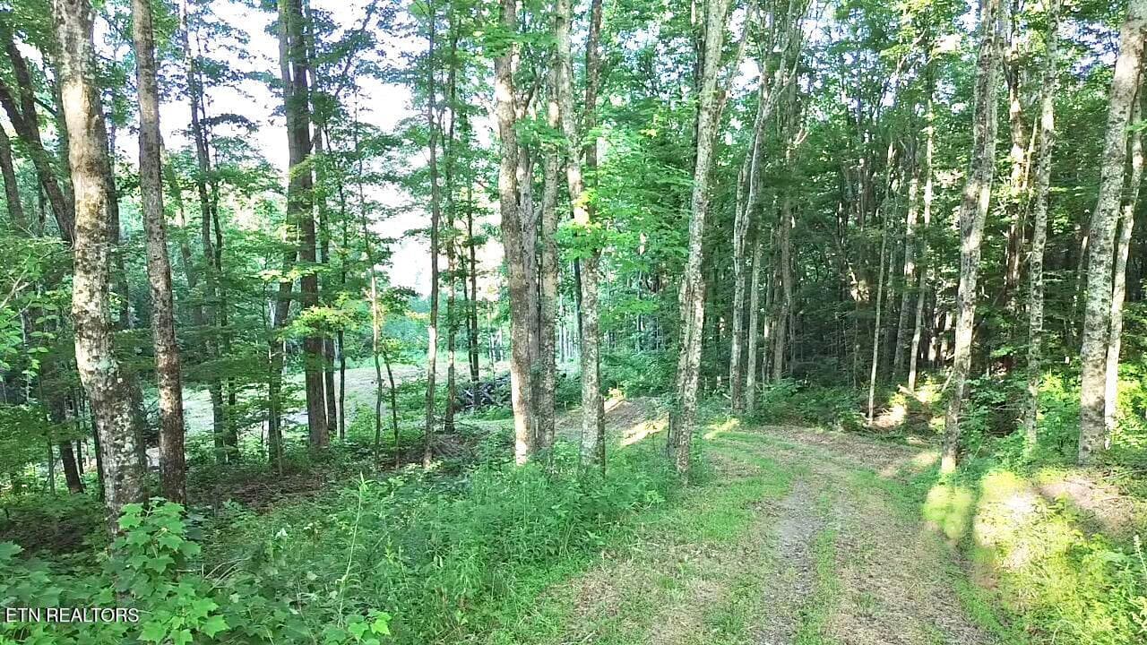 2026-06-13-08-19-43-991 - 183 Persimmon Lane, Pioneer, TN 37847, Pioneer