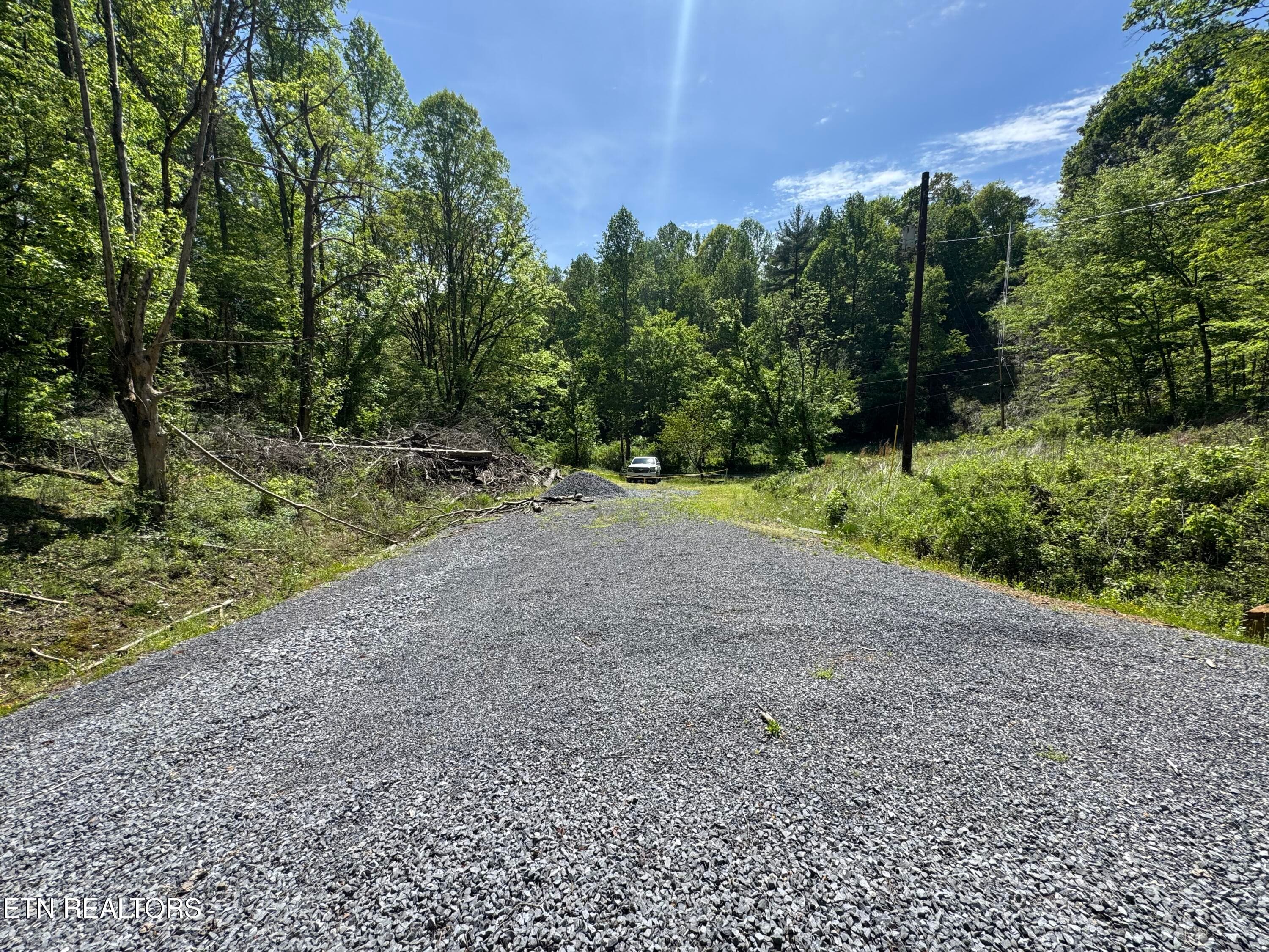 IMG_8246 - 332 Padgett Mill Rd, Cosby, TN 37722