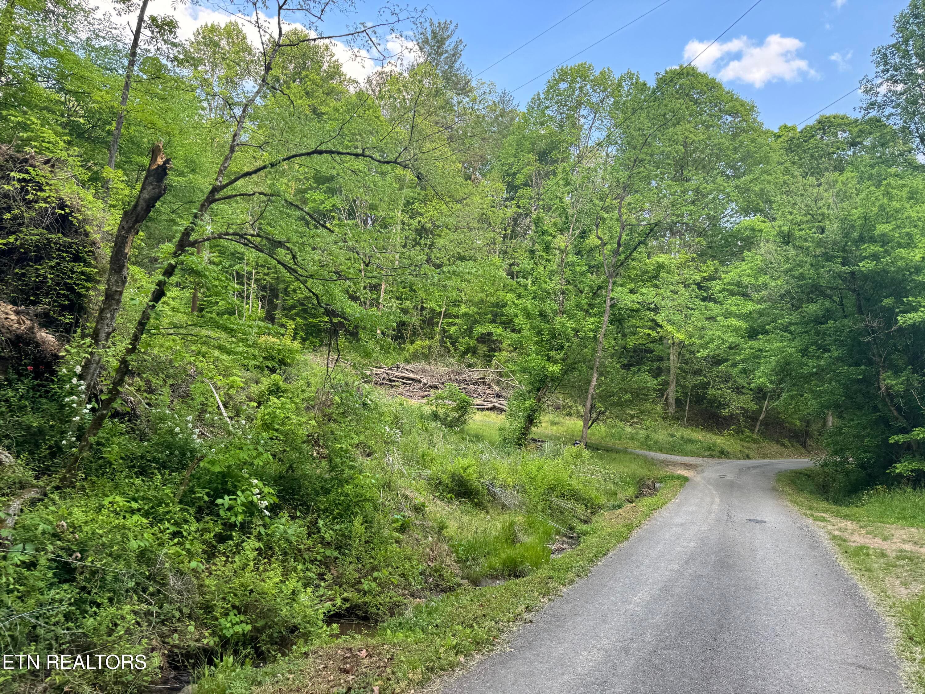 IMG_8452 - 332 Padgett Mill Rd, Cosby, TN 37722