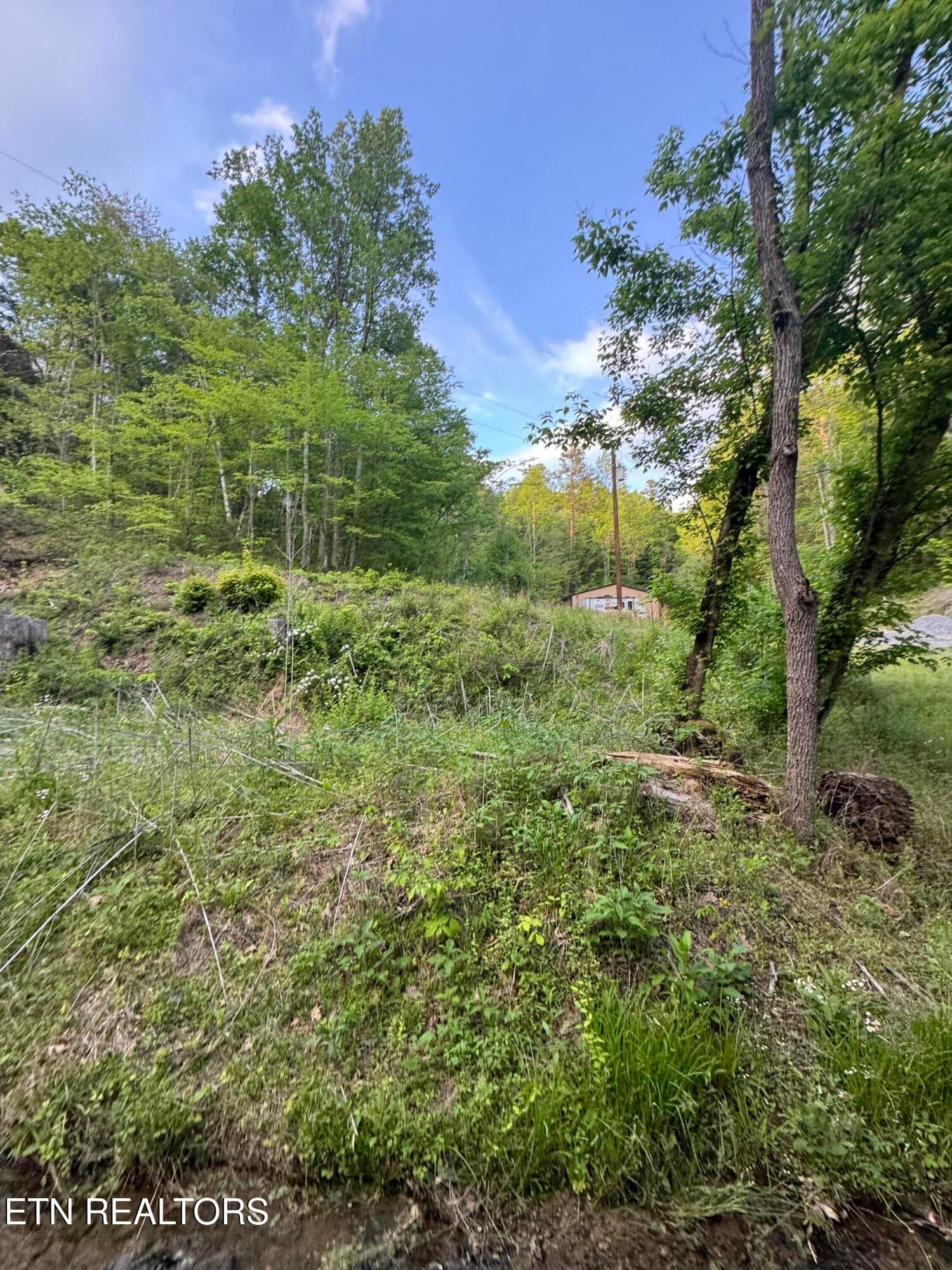 IMG_8444 - 332 Padgett Mill Rd, Cosby, TN 37722