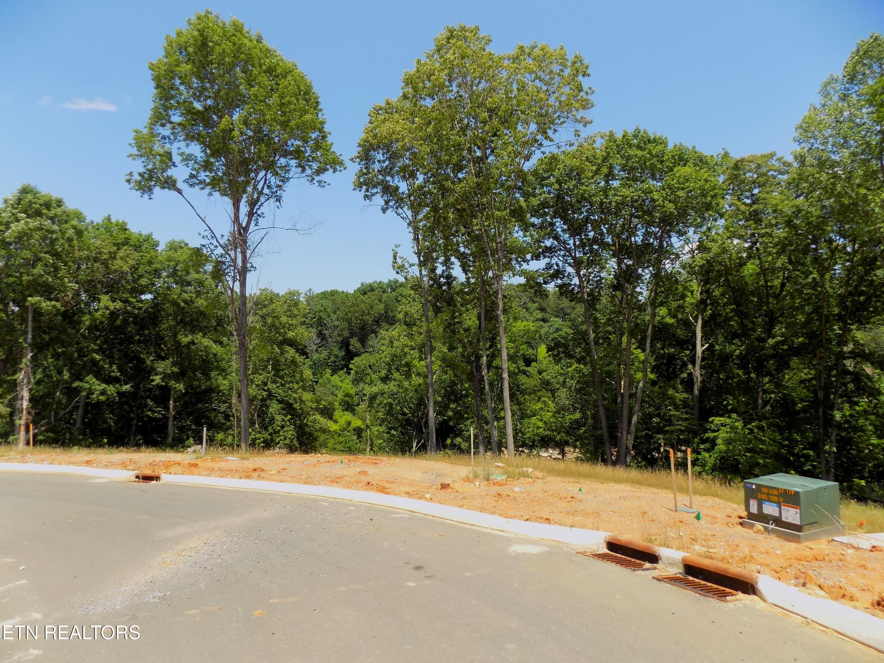 Road Frontage - Lot 13 Shorewood Point, Morristown, TN 37814