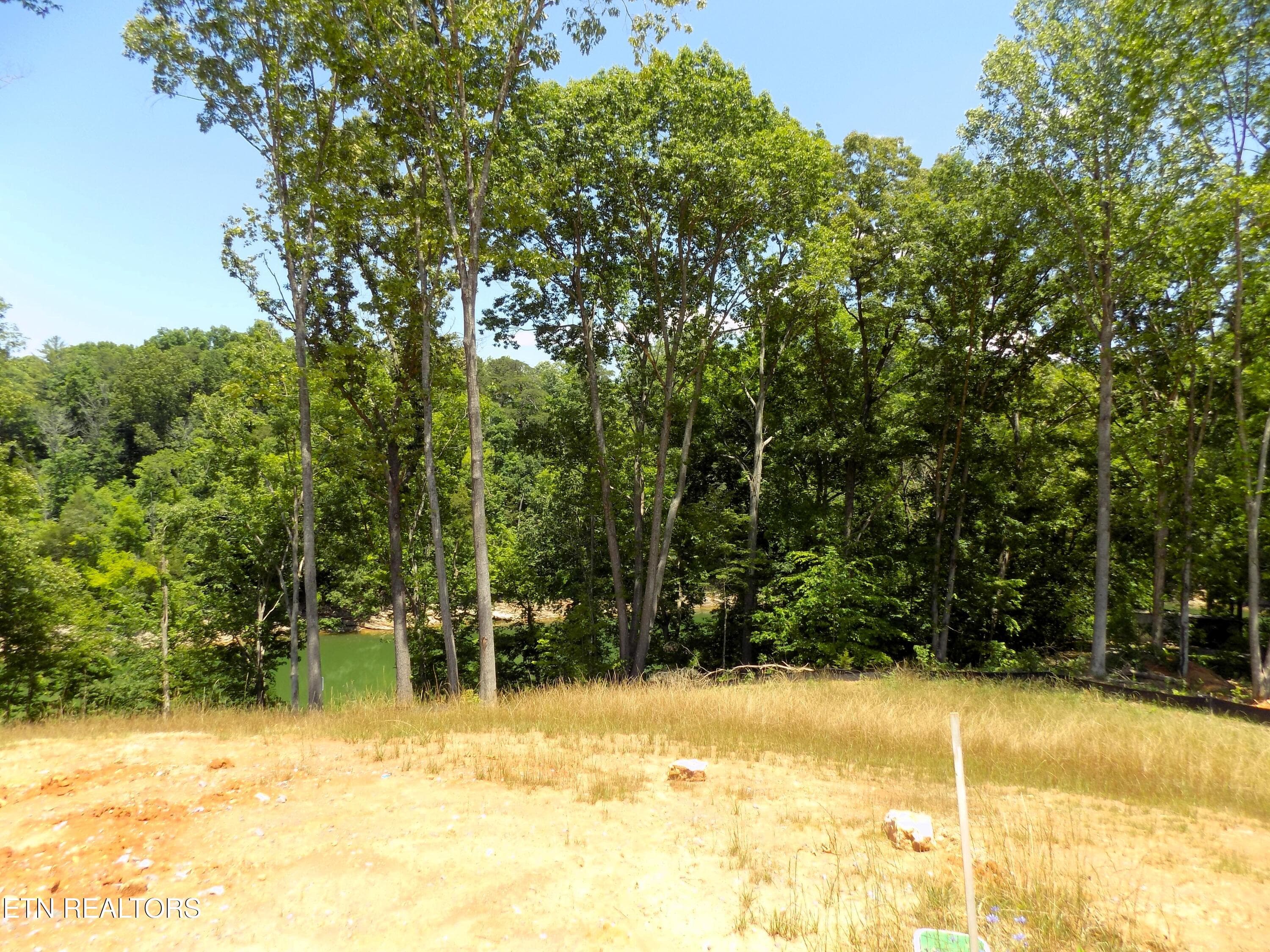 Road Frontage - Lot 13 Shorewood Point, Morristown, TN 37814