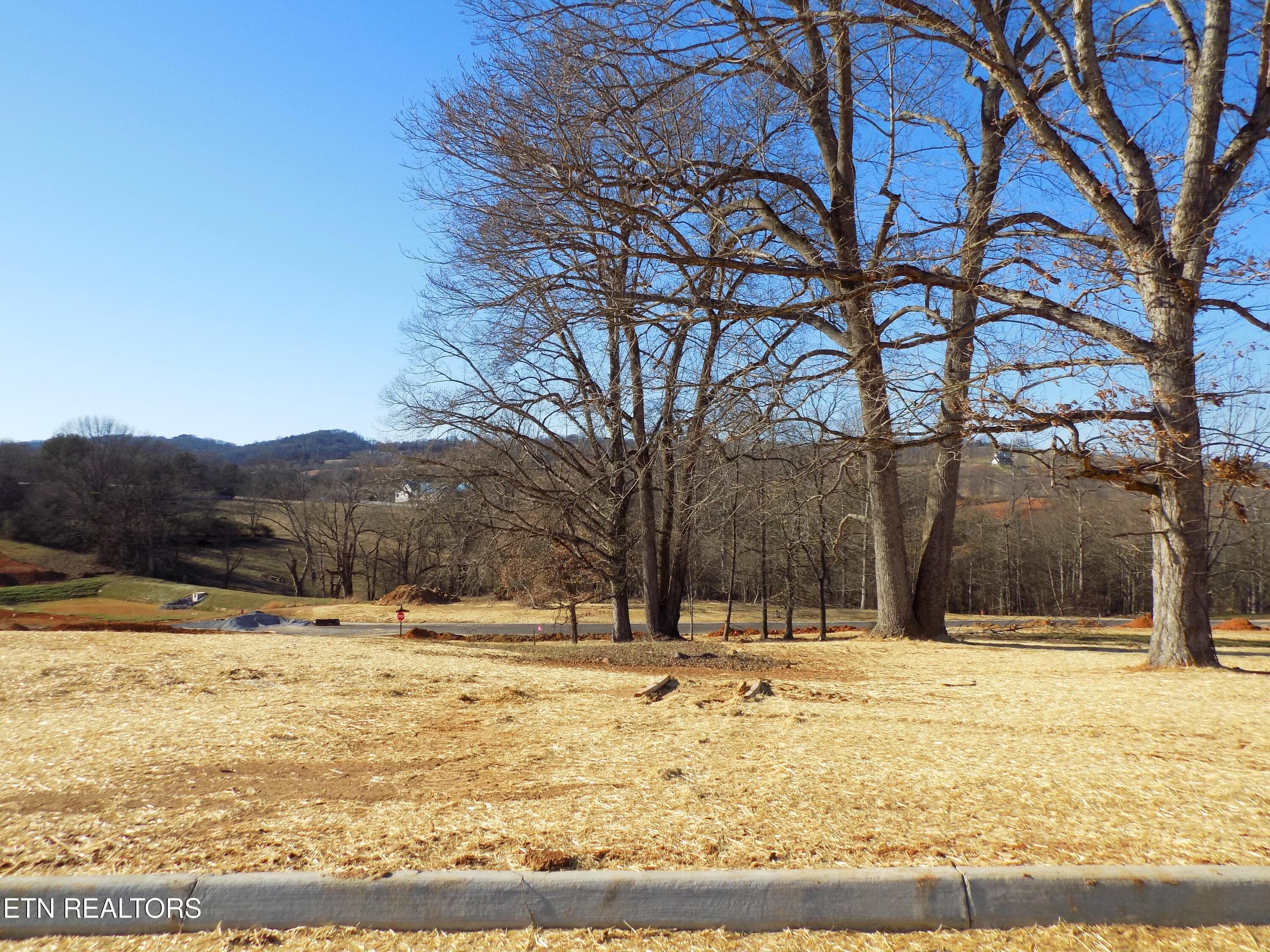 Serenity Cove Subdivision - Lot 13 Shorewood Point, Morristown, TN 37814
