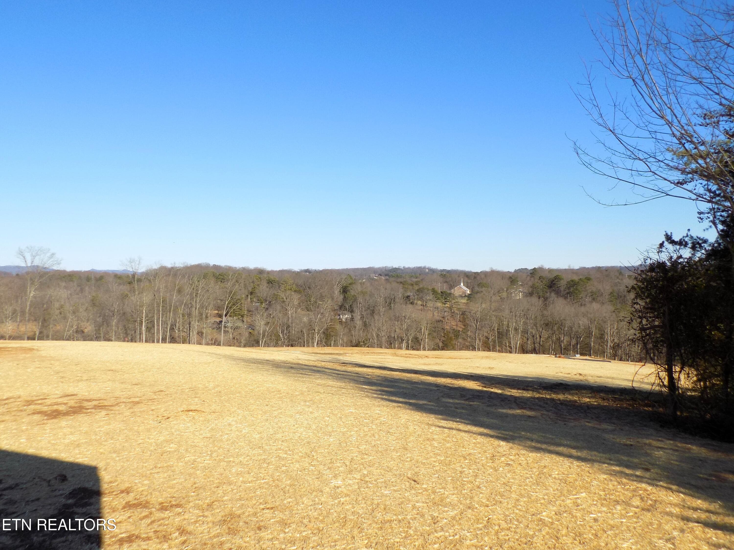 Playground / Dog Park - Lot 13 Shorewood Point, Morristown, TN 37814