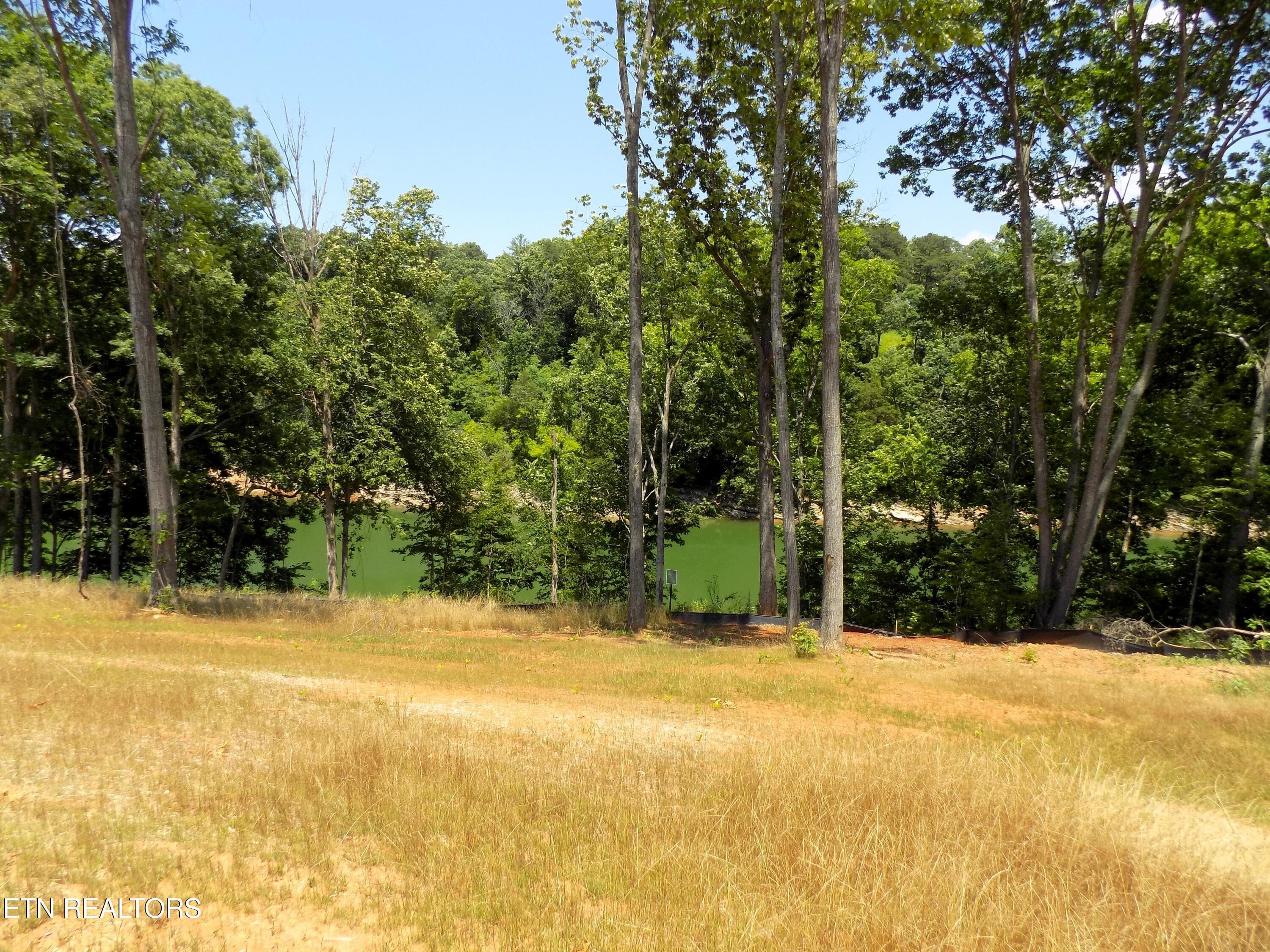 Lot 13 - Lot 13 Shorewood Point, Morristown, TN 37814