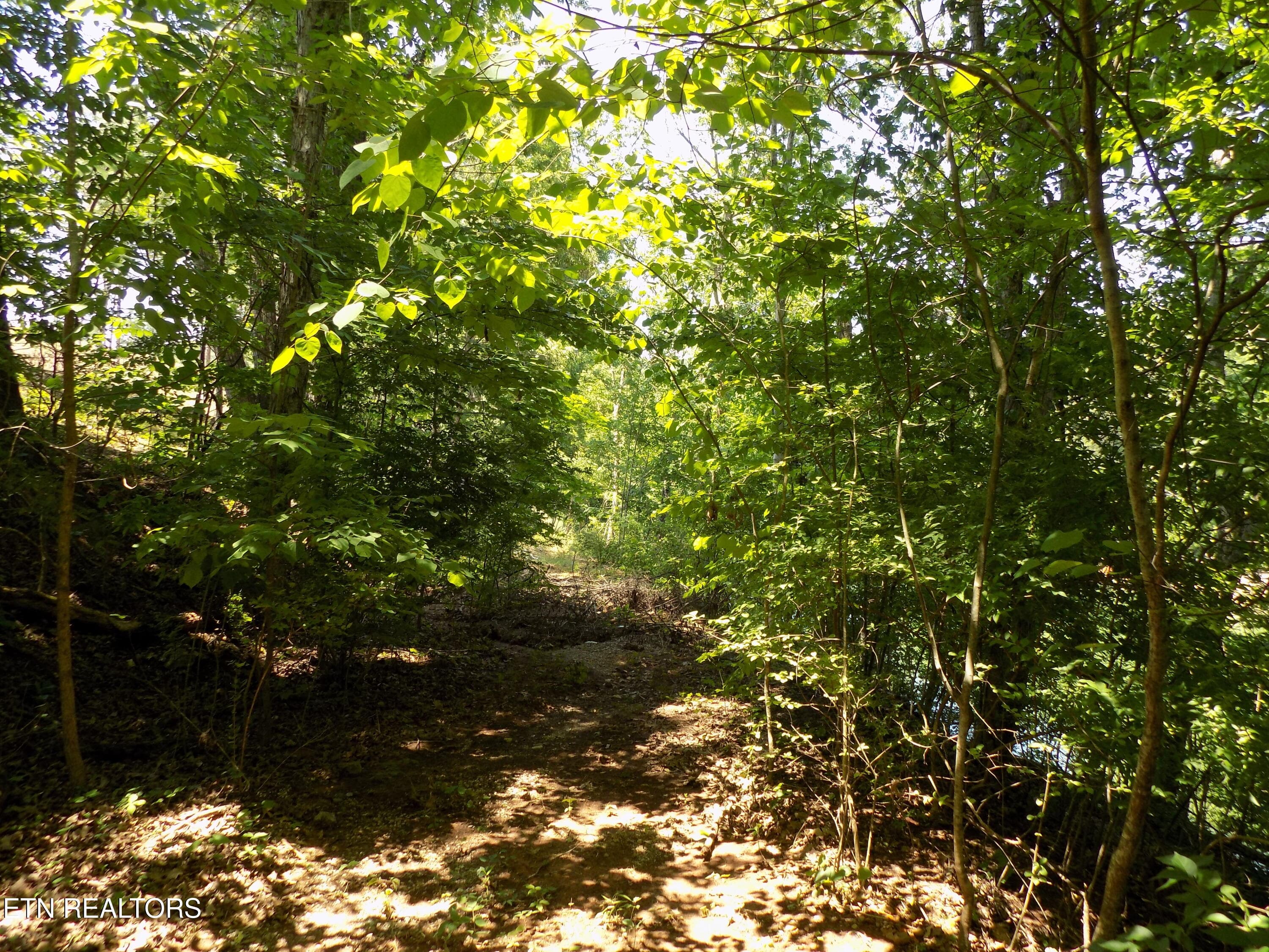 Lot 13 - Lot 13 Shorewood Point, Morristown, TN 37814