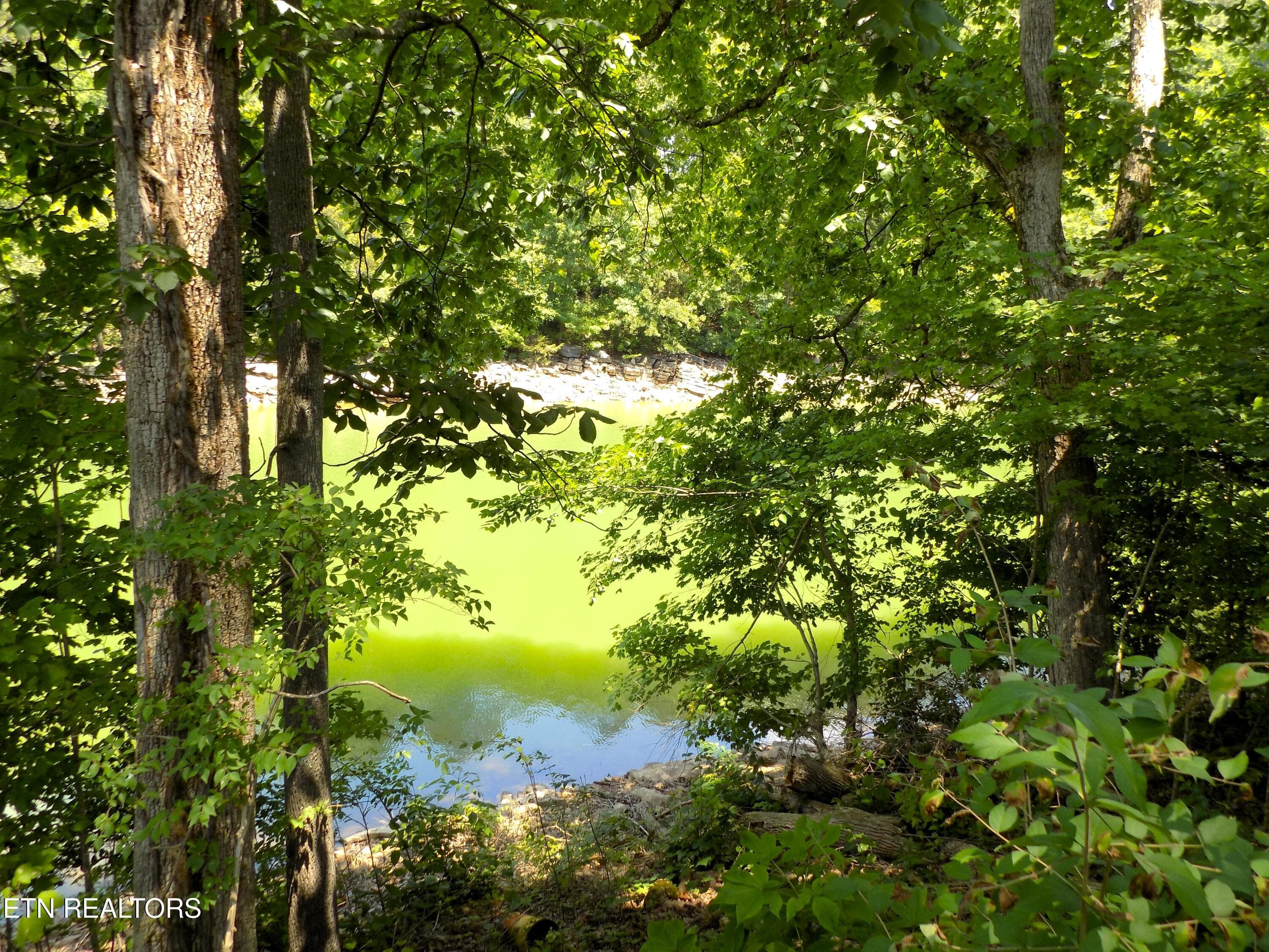 Lot 13 - Lot 13 Shorewood Point, Morristown, TN 37814