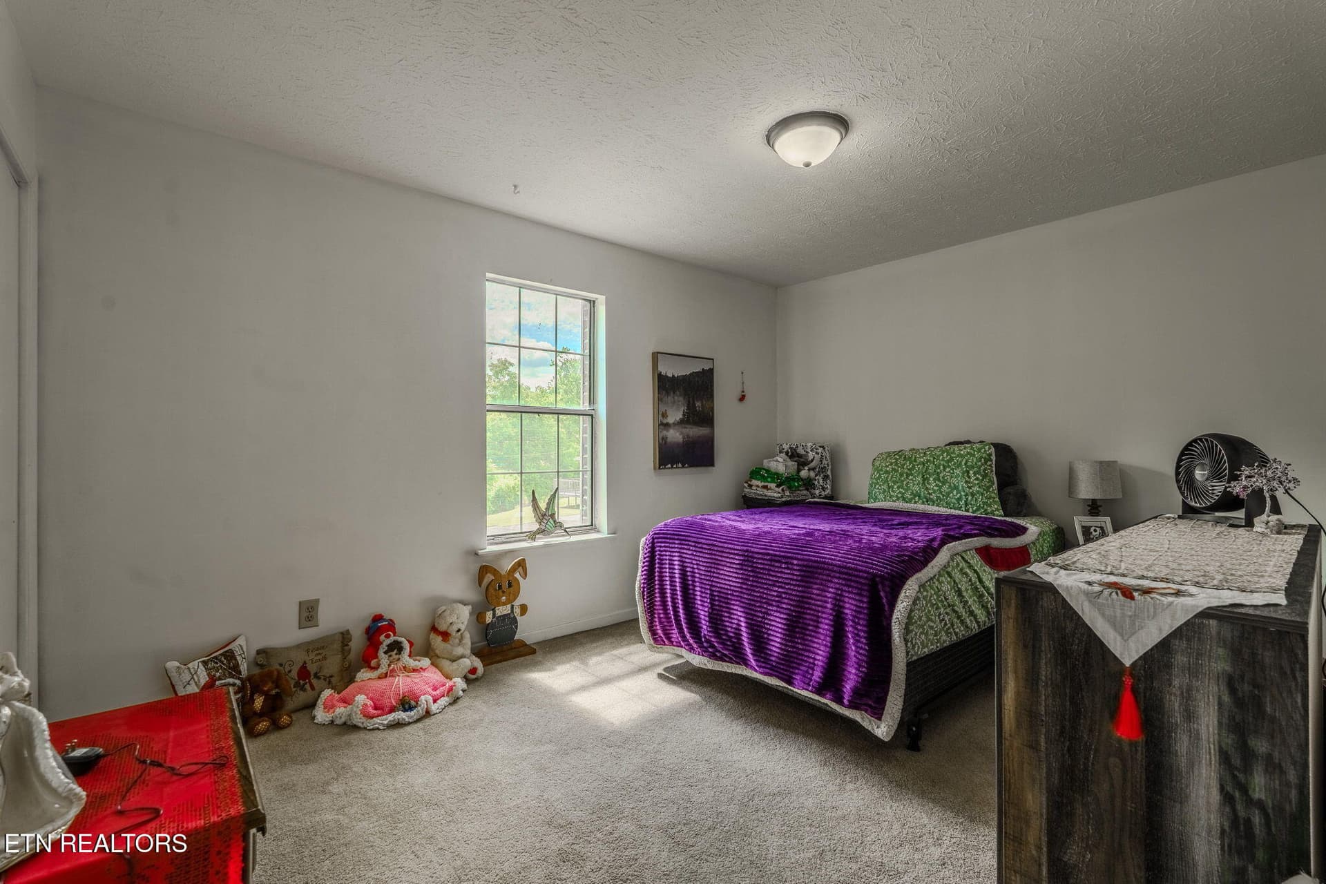 15-web-or-mls-_DSC3963-HDR - 405 Eastley Court #9, Kingsport, TN 37660