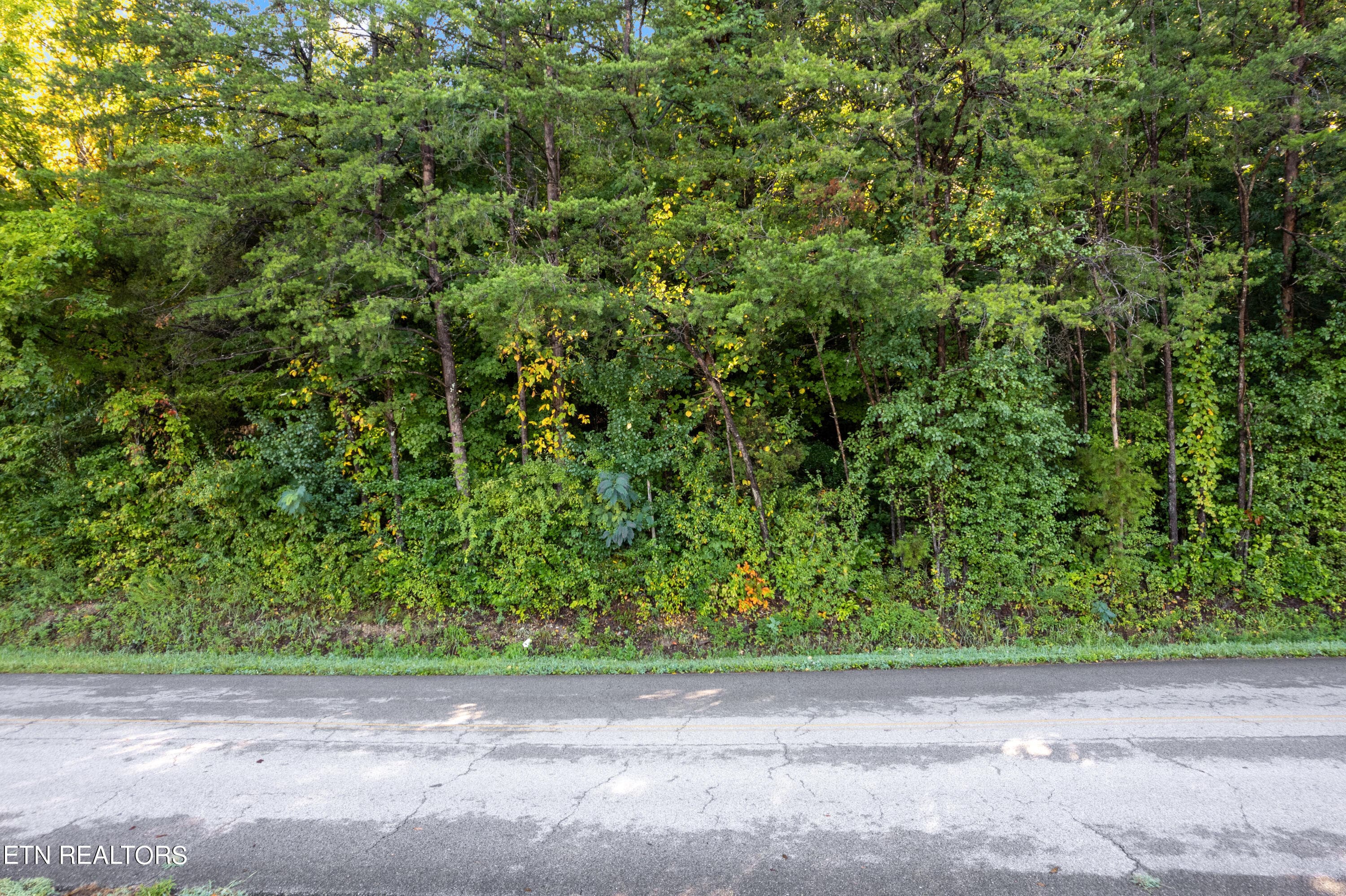 Delozier Ln 008 - TBD Delozier Lane, Rockwood, TN 37854, Rockwood