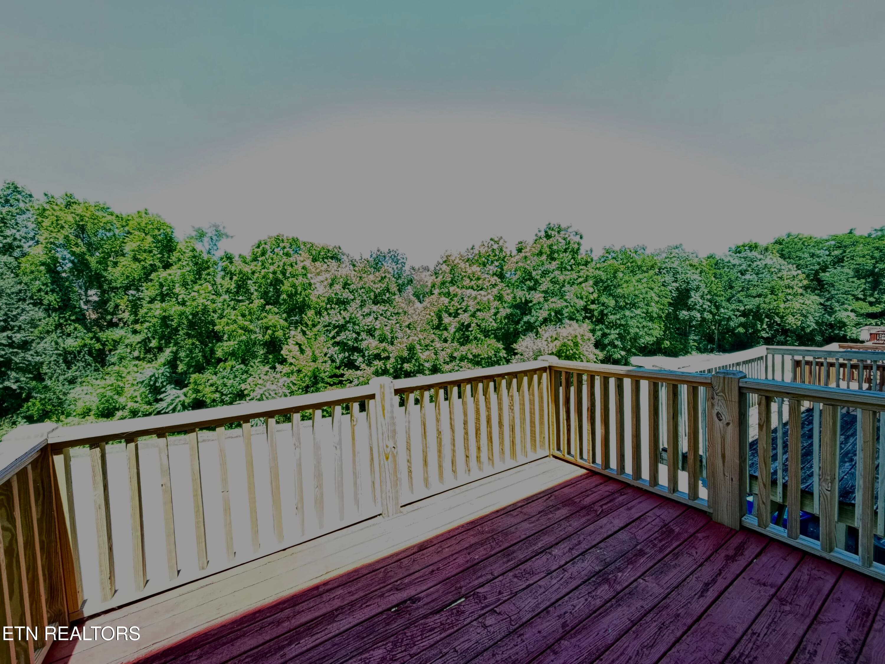 IMG_8842 - 7809 Stone Garden Way, Powell, TN 37849