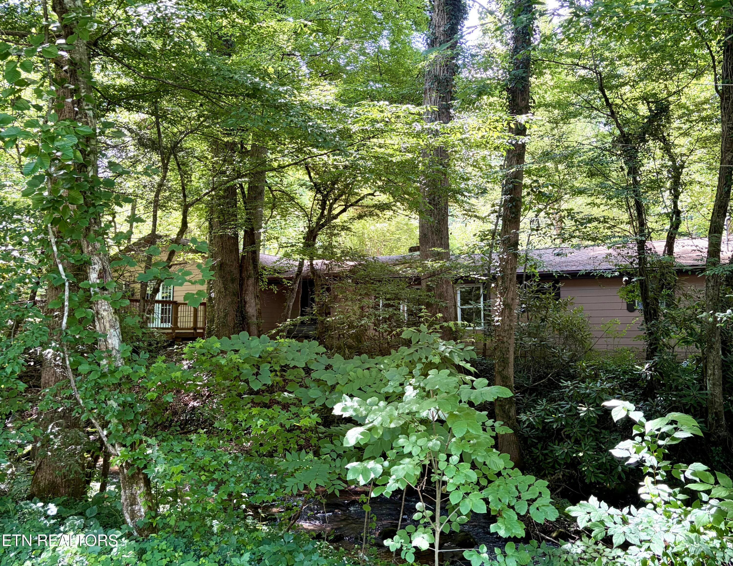 E. Scenic_Back_9650 - 4413 E Scenic Drive, Gatlinburg, TN 37738, Gatlinburg