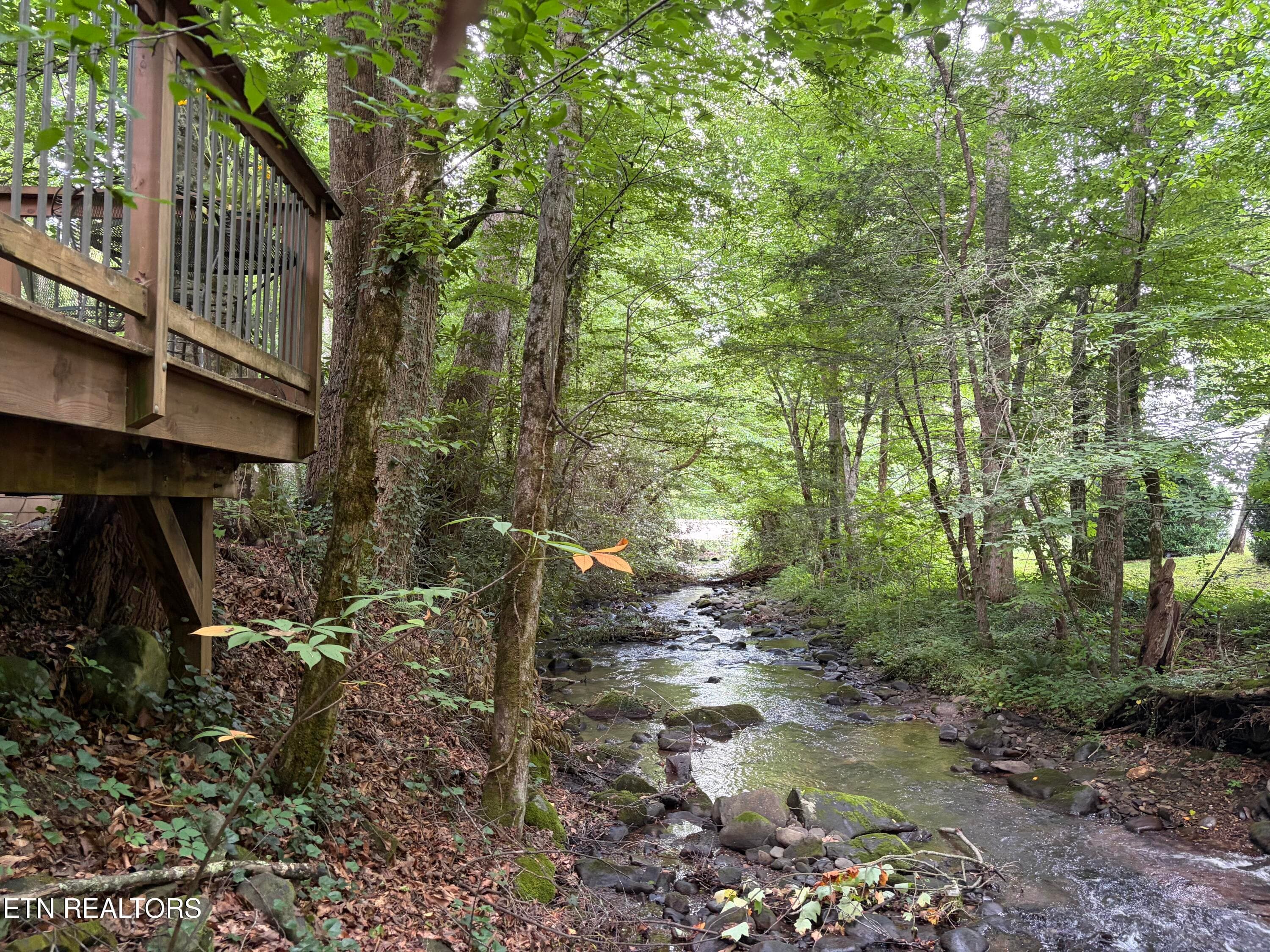 IMG_9594 - 4413 E Scenic Drive, Gatlinburg, TN 37738, Gatlinburg