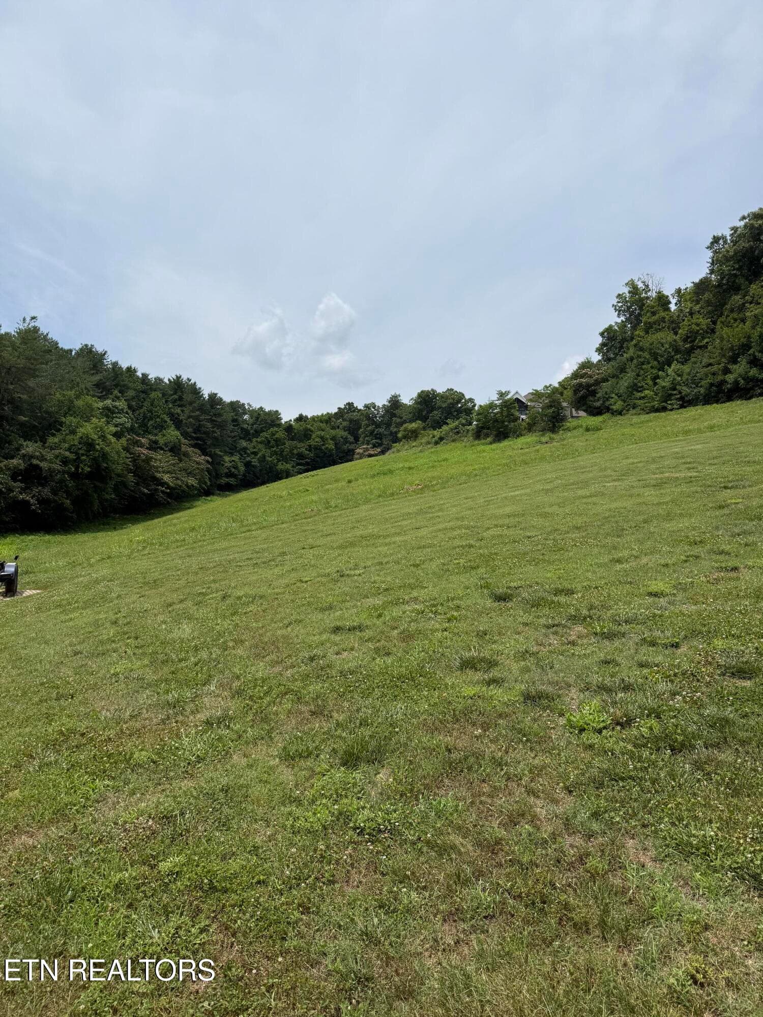 IMG_8691 - Parks Ferry Rd Lot 1, Friendsville, TN 37737