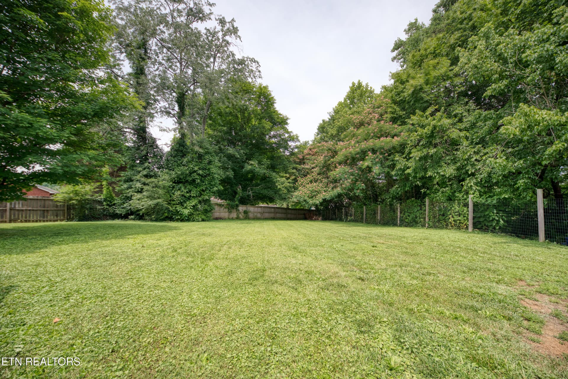 0H3A9677_100 - 425 W Ford Valley Rd, Knoxville, TN 37920