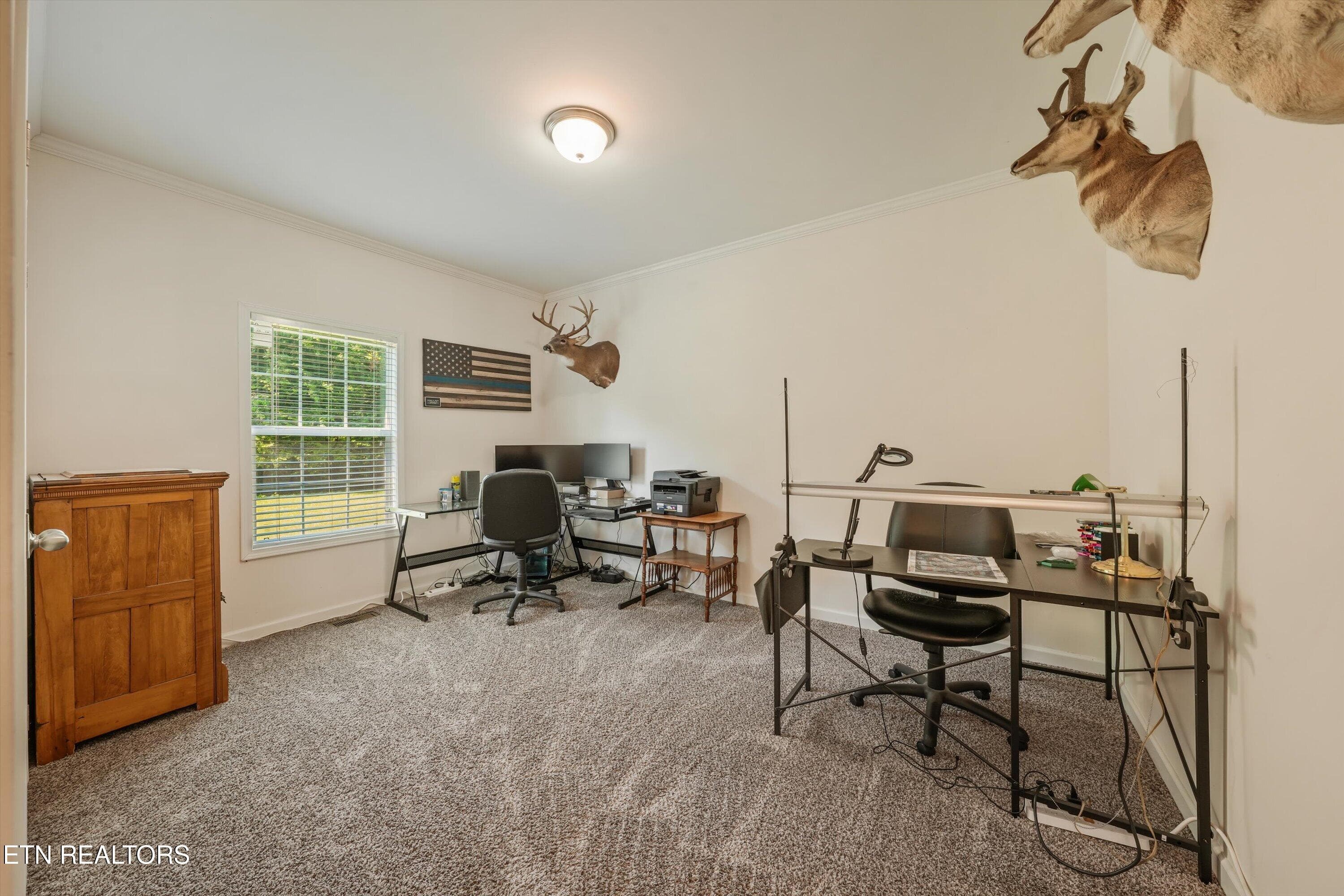 11-2974 Stoney Gap Rd 05 - 2974 Stoney Gap Rd, Sneedville, TN 37869, Sneedville