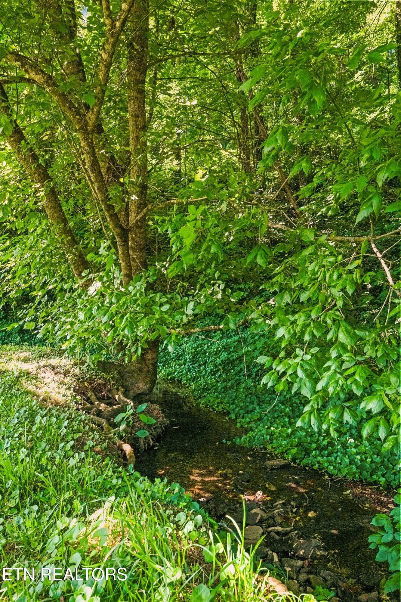 38-2974 Stoney Gap Rd 35 - 2974 Stoney Gap Rd, Sneedville, TN 37869, Sneedville