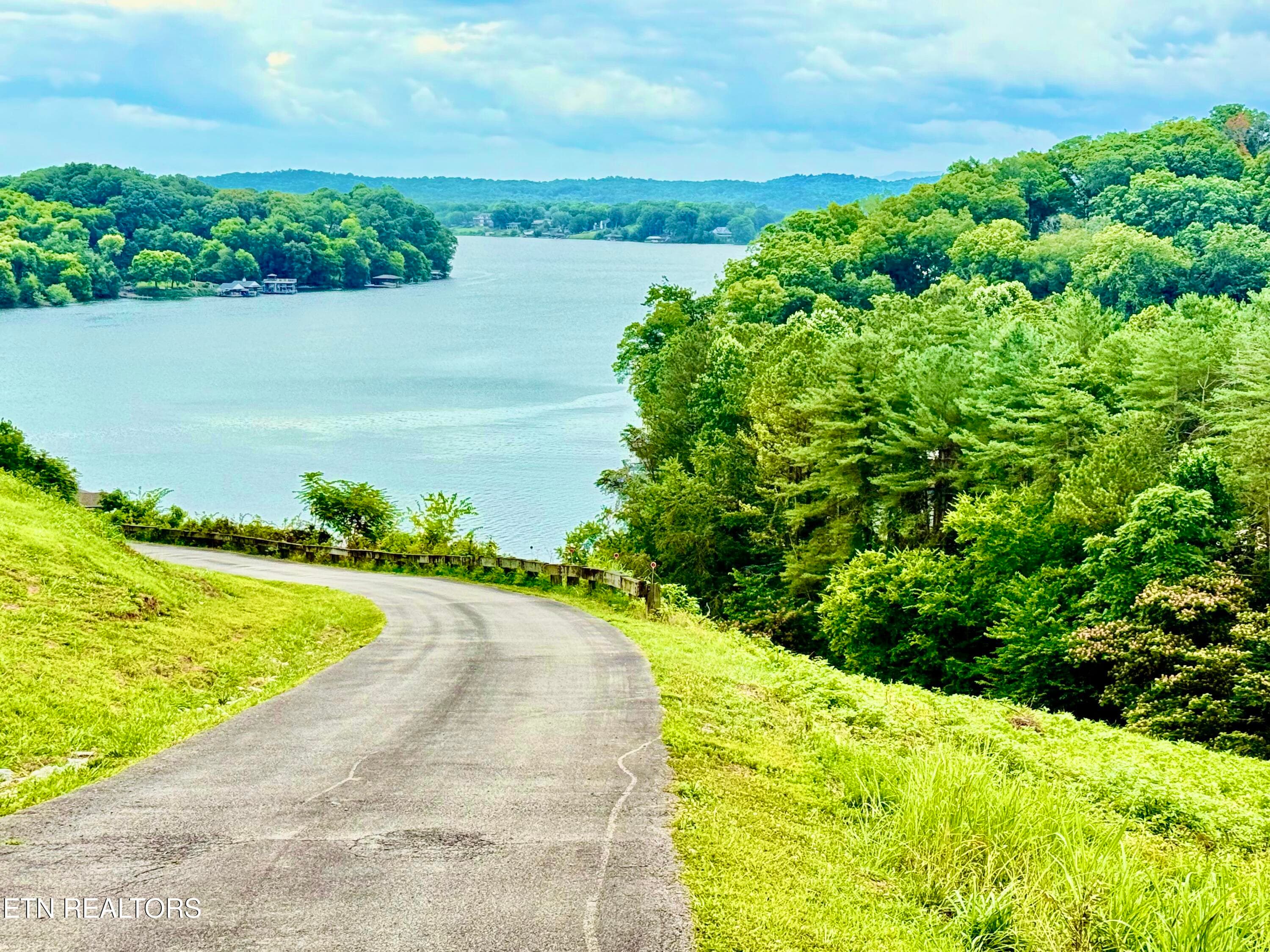 IMG_8791 - Parks Ferry Rd Lot 1, Friendsville, TN 37737