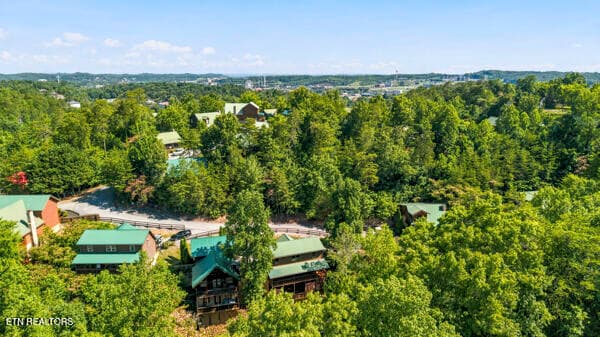 41 - 620 Chickasaw Gap Way, Pigeon Forge, TN 37863, Pigeon Forge