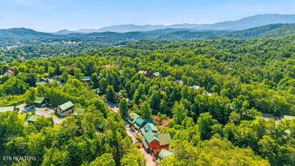 42 - 620 Chickasaw Gap Way, Pigeon Forge, TN 37863, Pigeon Forge