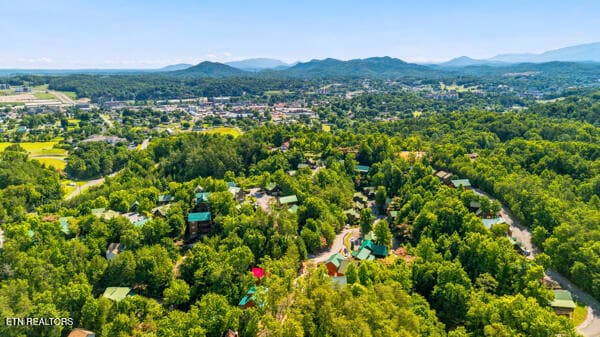 43 - 620 Chickasaw Gap Way, Pigeon Forge, TN 37863, Pigeon Forge