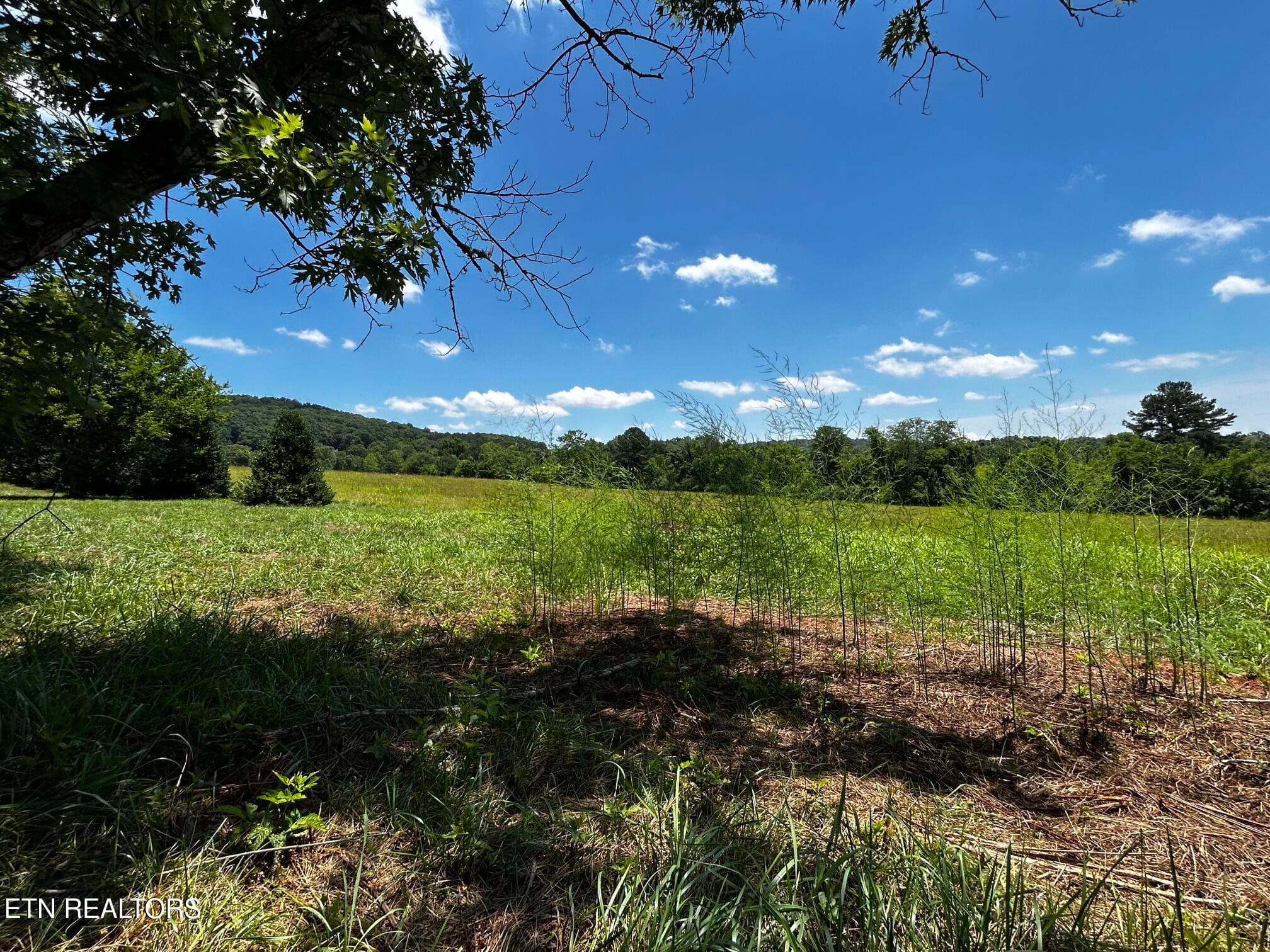 GARDEN - 573 S Judd Rd, Decatur, TN 37322