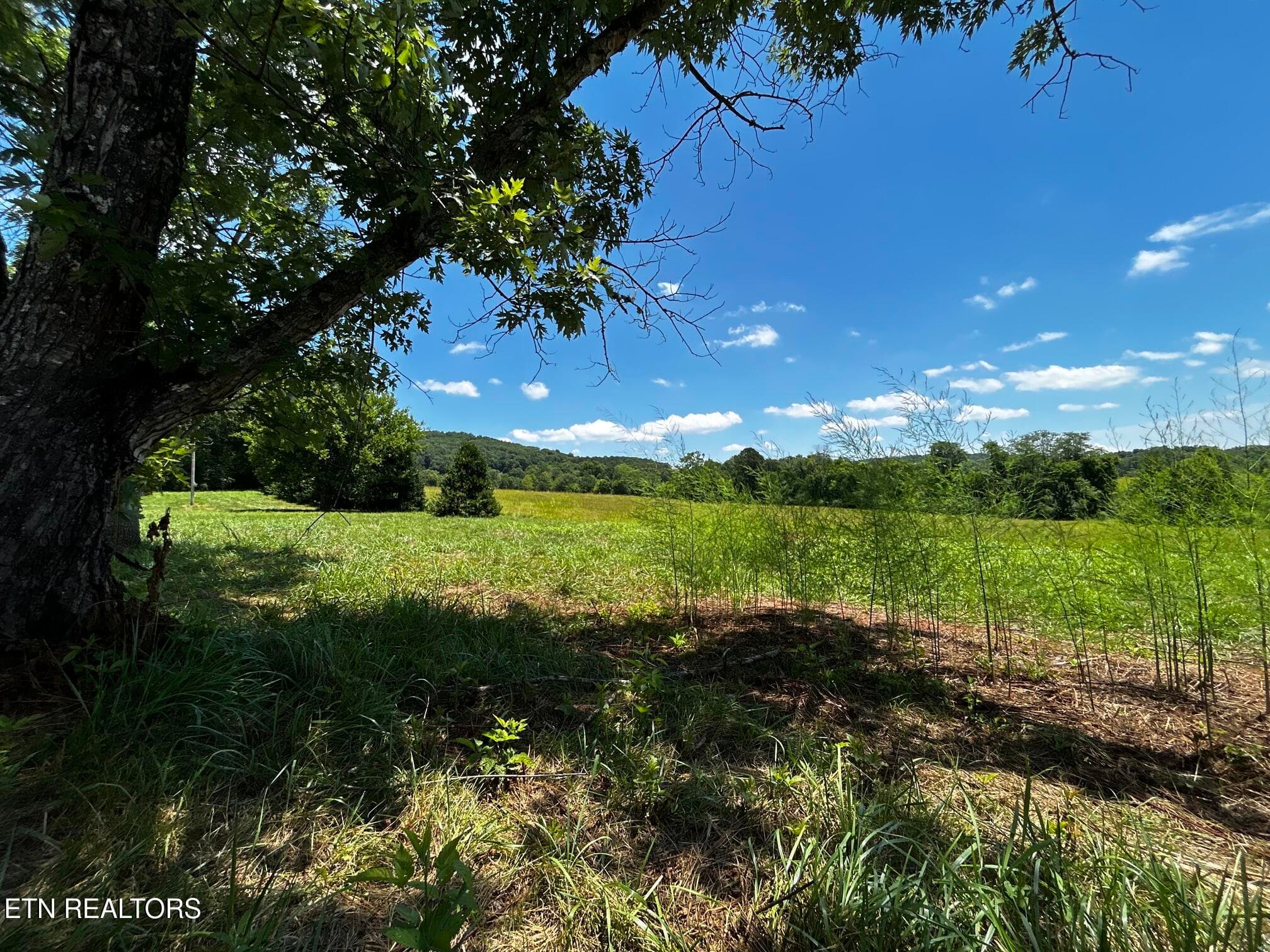 GARDEN WITH VIEWS - 573 S Judd Rd, Decatur, TN 37322