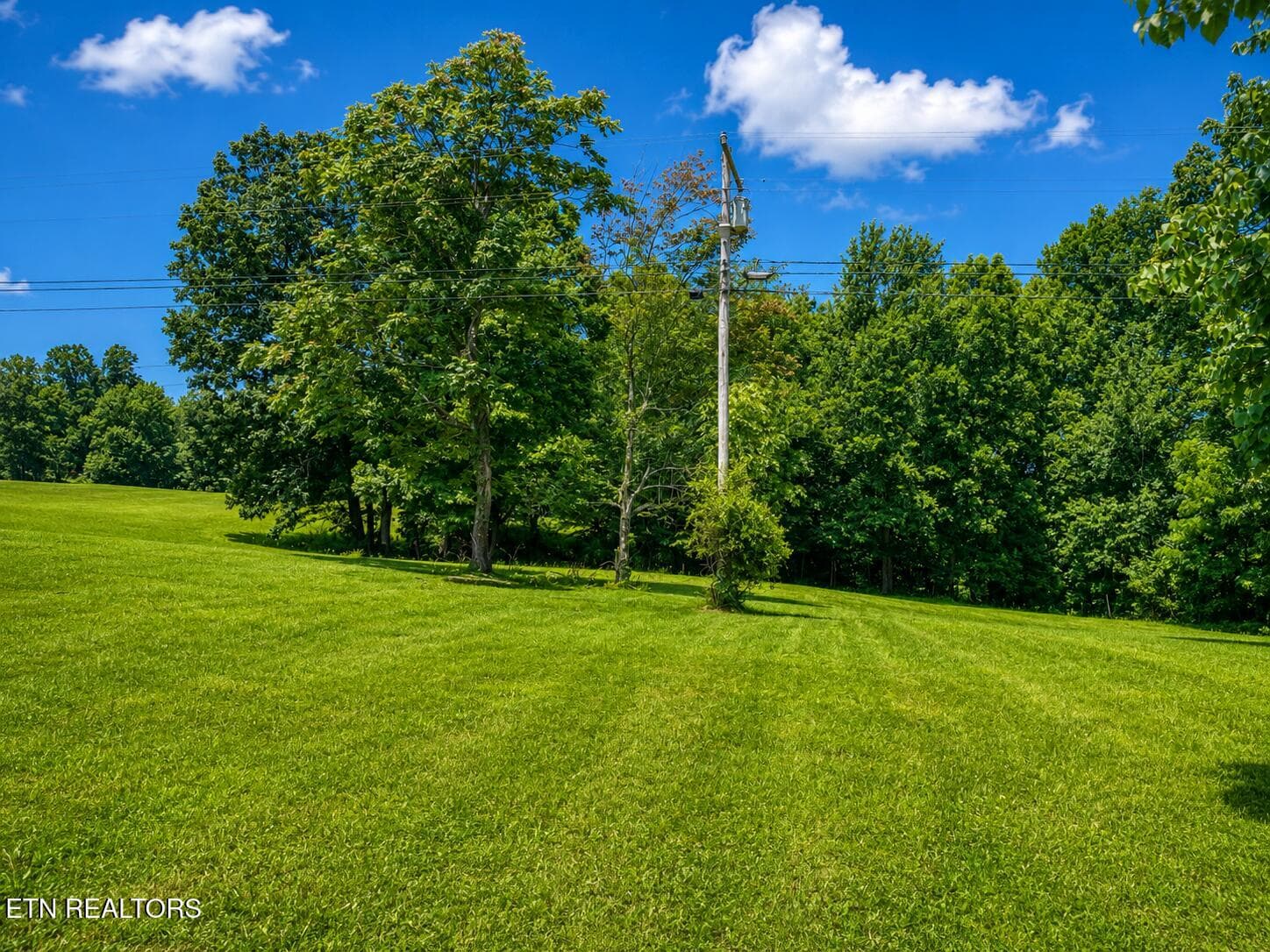 9F646F69-BEE2-4894-A343-9675902B9AD8 - 1323 Bee Rock Rd, Monterey, TN 38574