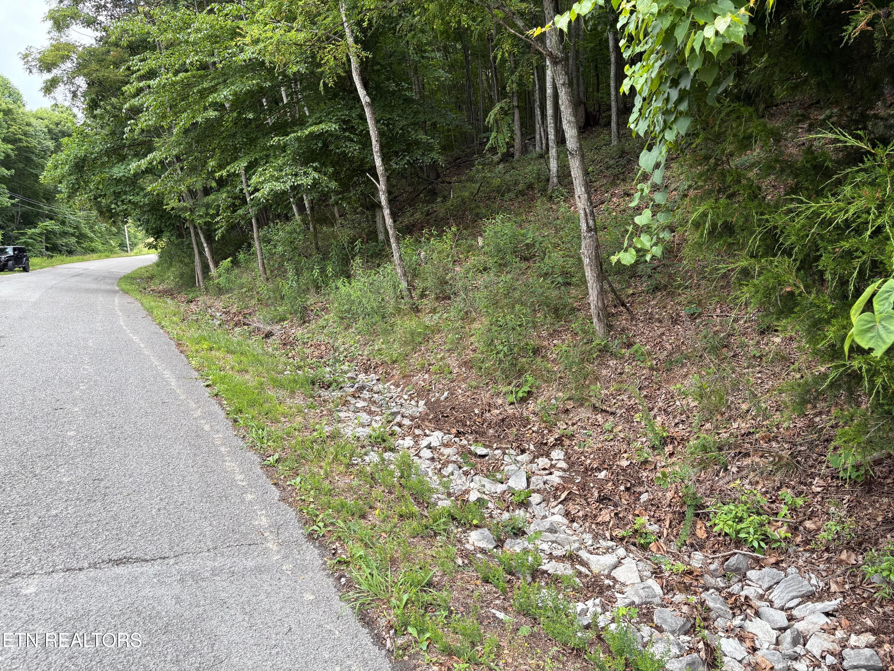 IMG_0274 - Whistle Valley Rd #130, New Tazewell, TN 37825