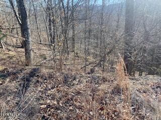 Property 2 - Lot 875 Clearwater Rd, New Tazewell, TN 37825