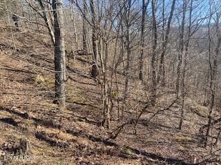 Property 5 - Lot 875 Clearwater Rd, New Tazewell, TN 37825