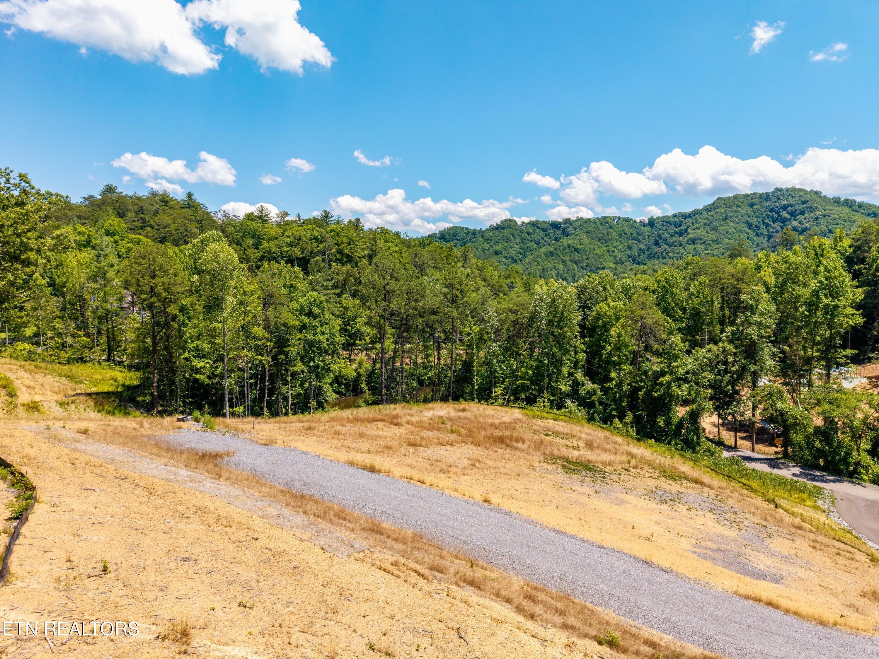 WaldensCreekRd-45 - Waldens Creek Rd, Sevierville, TN 37862