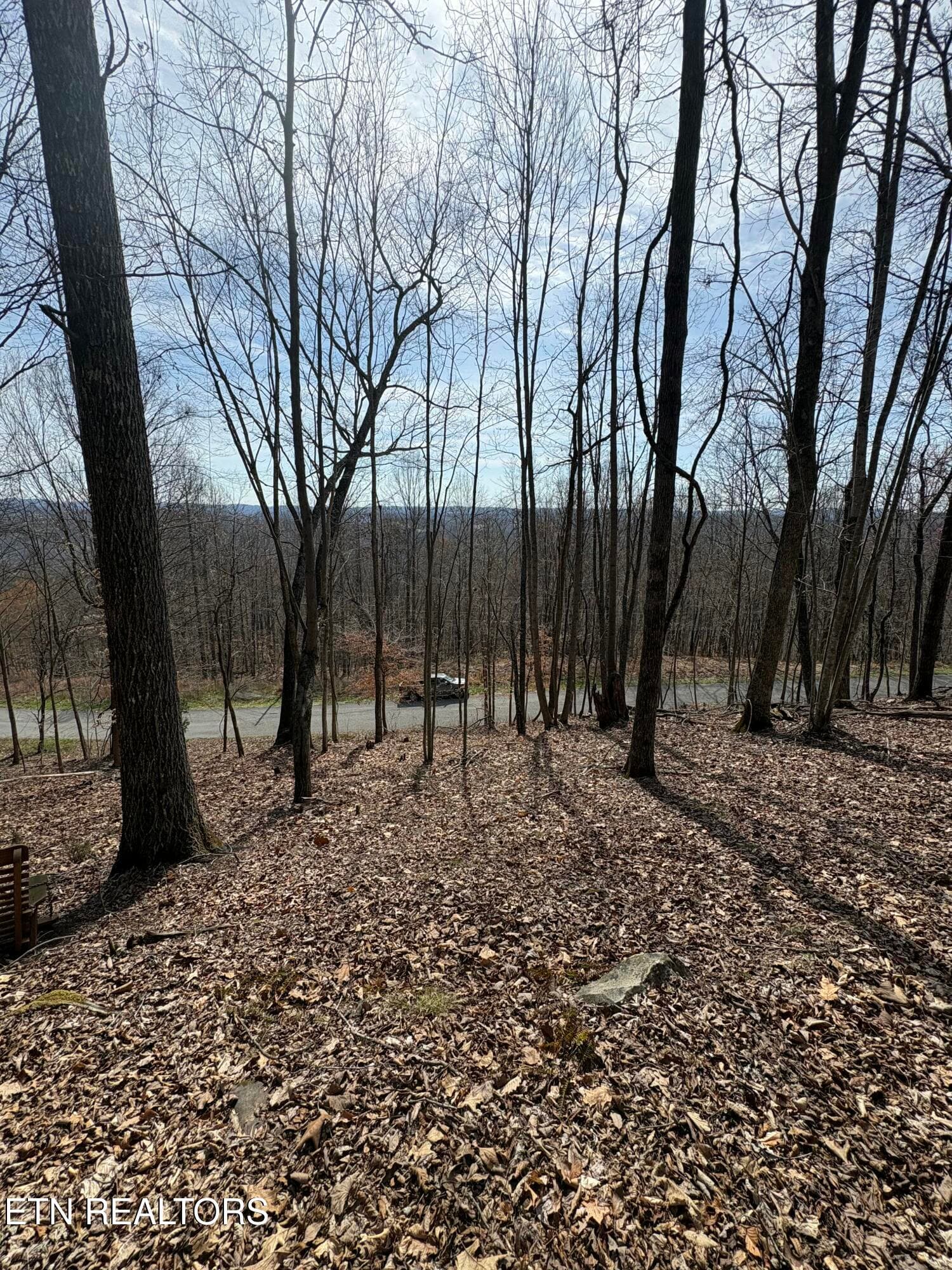 IMG_9184 - Whistle Valley Rd #130, New Tazewell, TN 37825