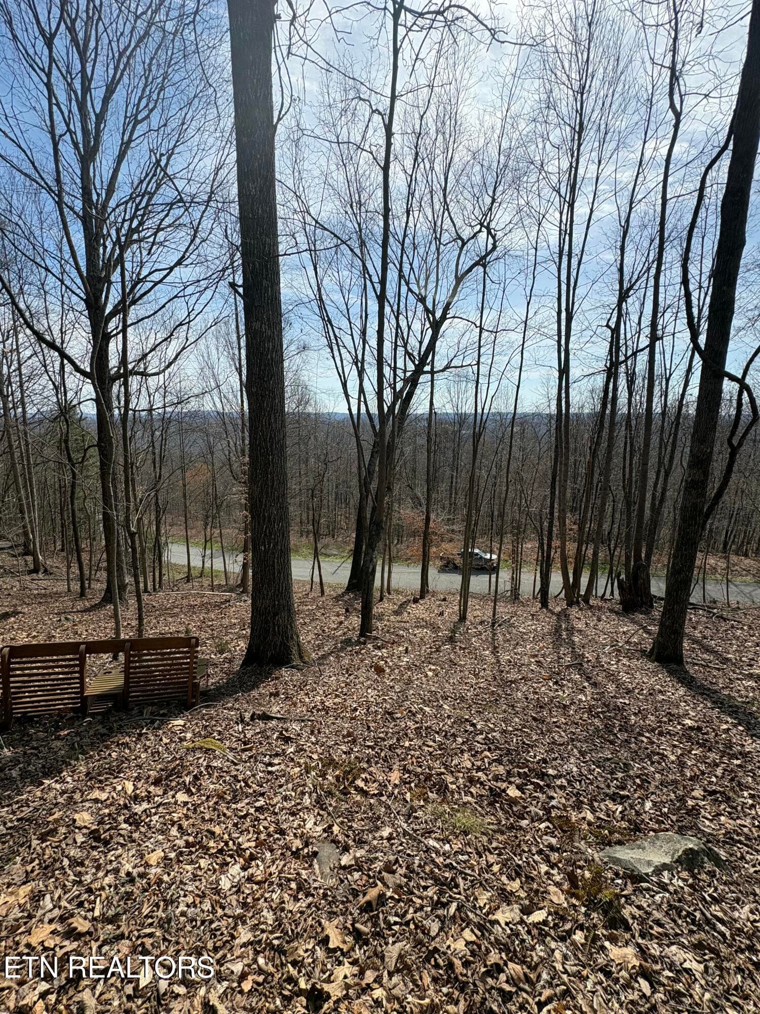 IMG_9183 - Whistle Valley Rd #130, New Tazewell, TN 37825