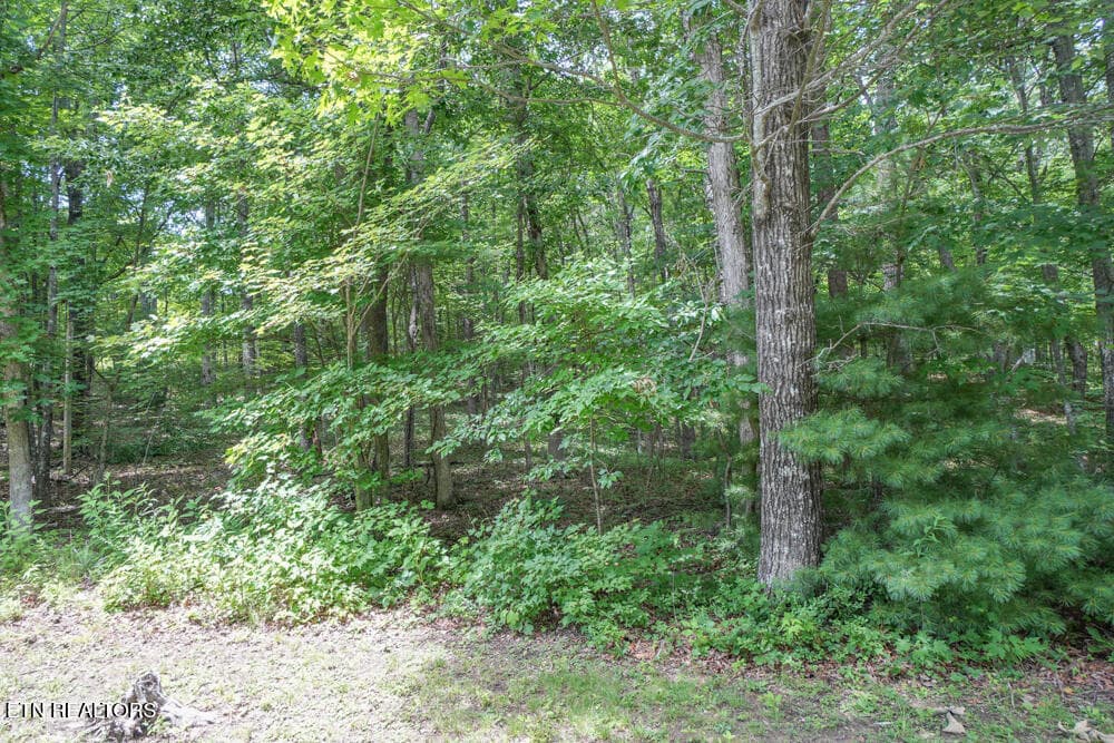 DSC00711 - S Peterson Rd, Tallassee, TN 37878