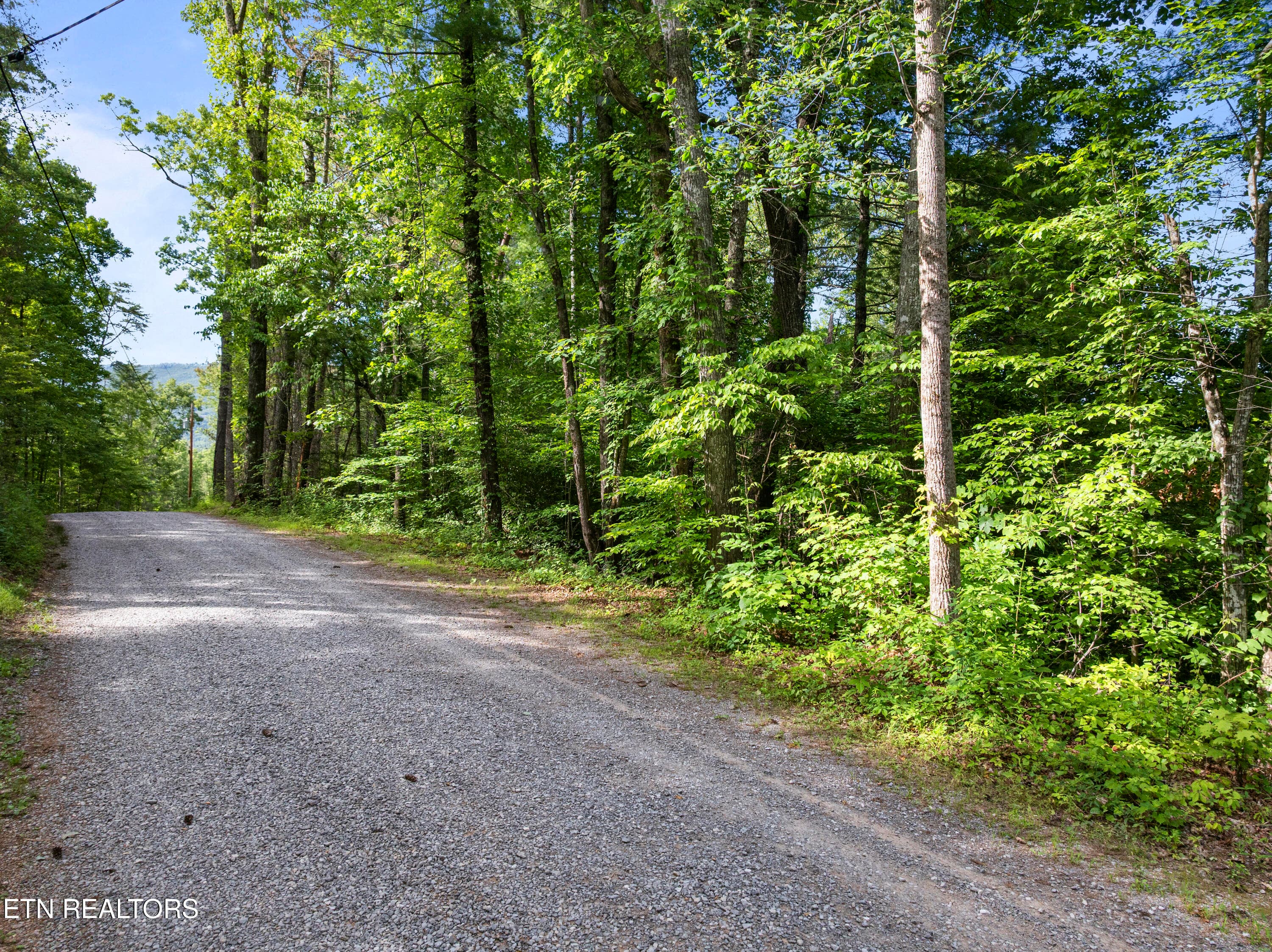 TBD Grouse Top (lot 4) Rd, Walland, TN 37886