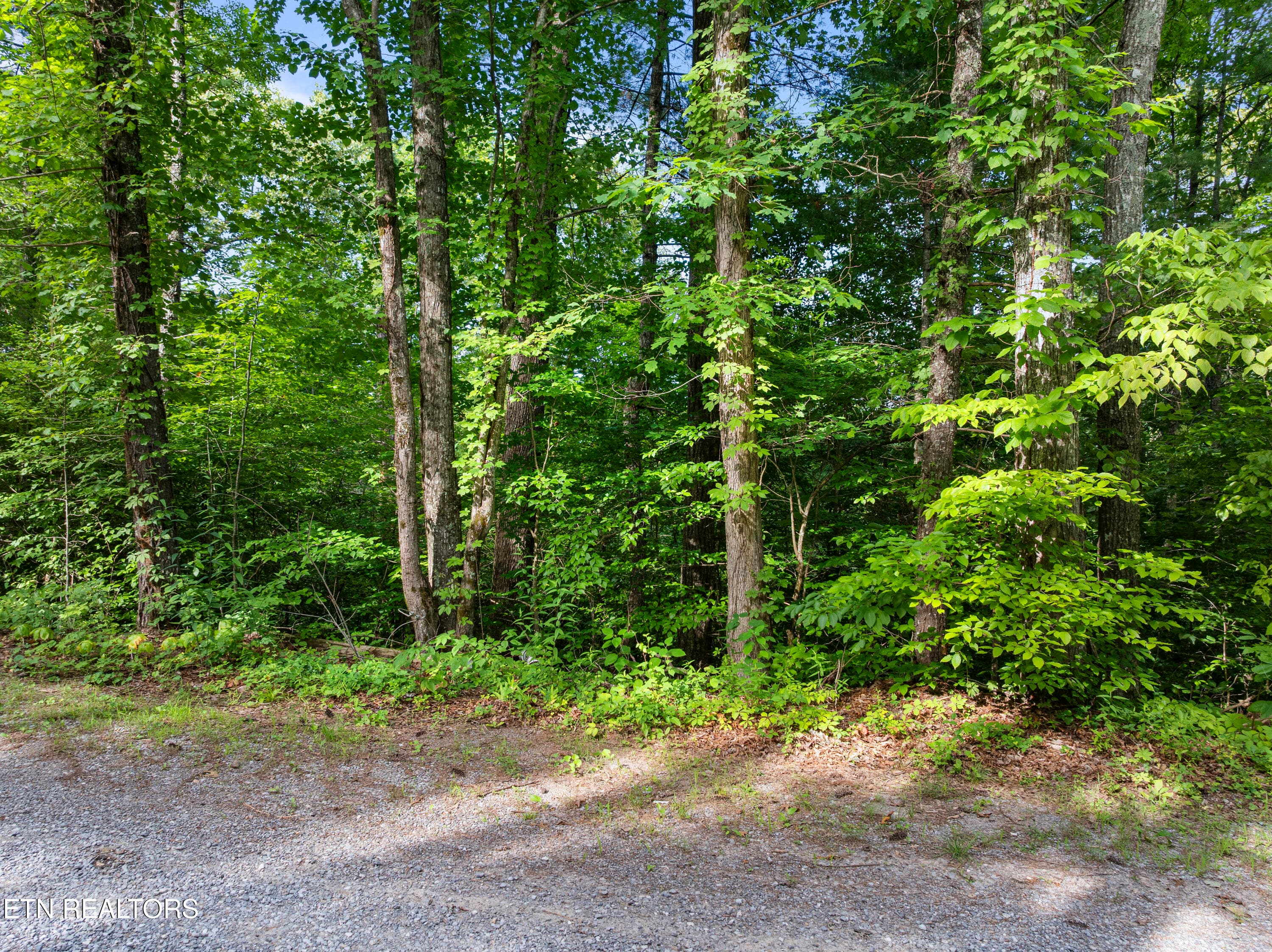 Walland002 - TBD Grouse Top (lot 4) Rd, Walland, TN 37886