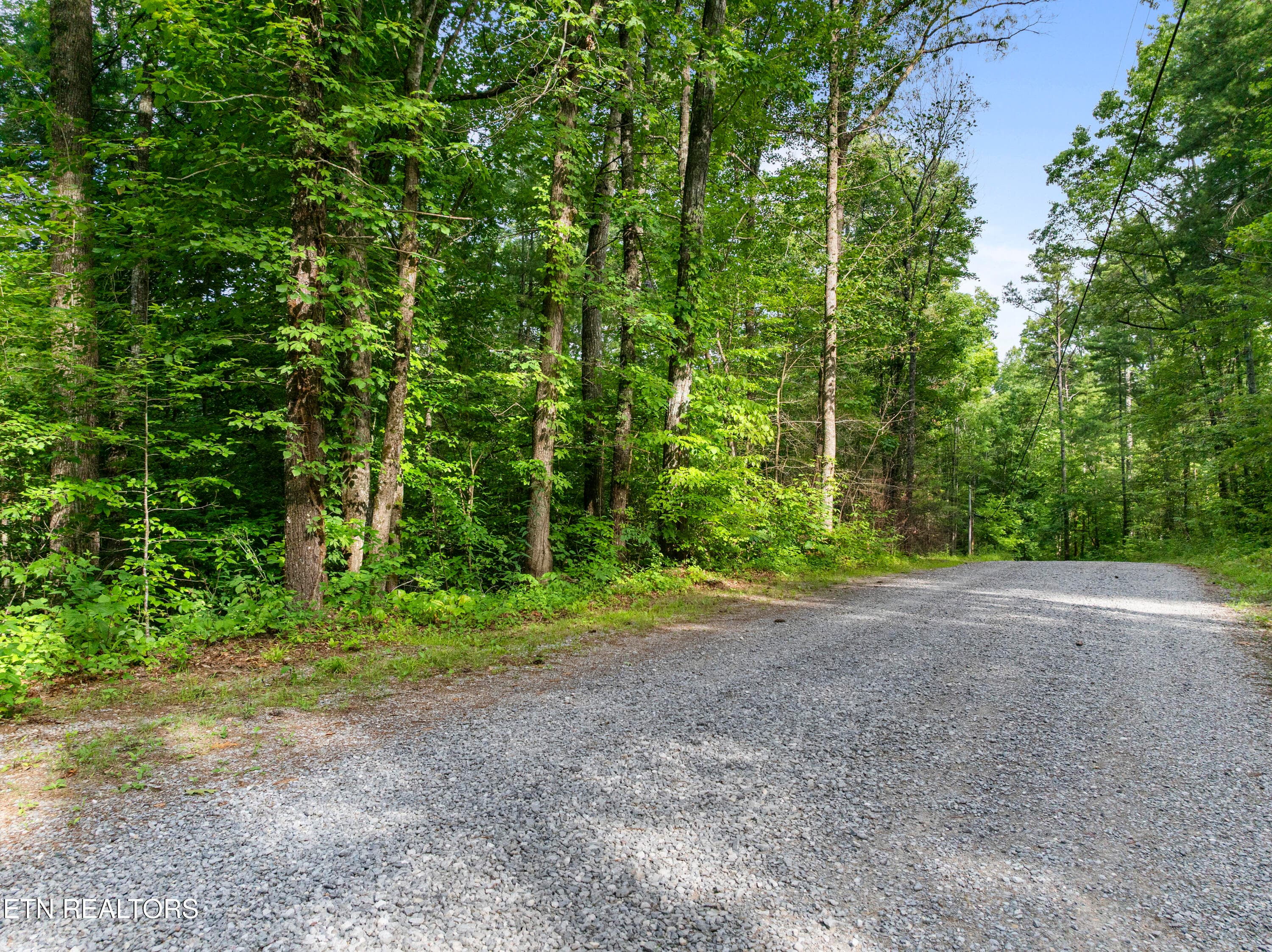 Walland003 - TBD Grouse Top (lot 4) Rd, Walland, TN 37886