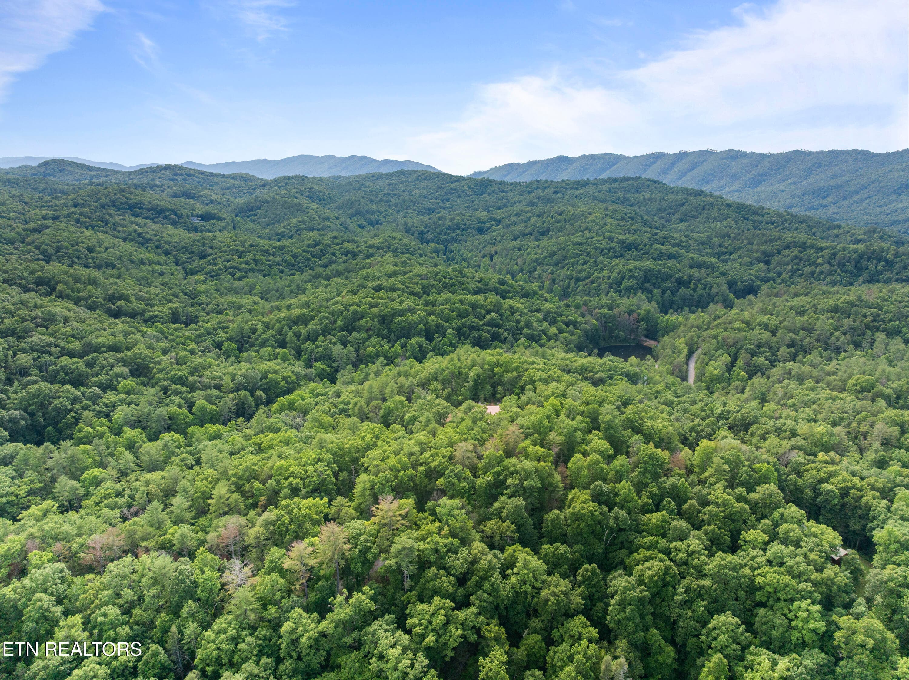 Walland007 - TBD Grouse Top (lot 4) Rd, Walland, TN 37886