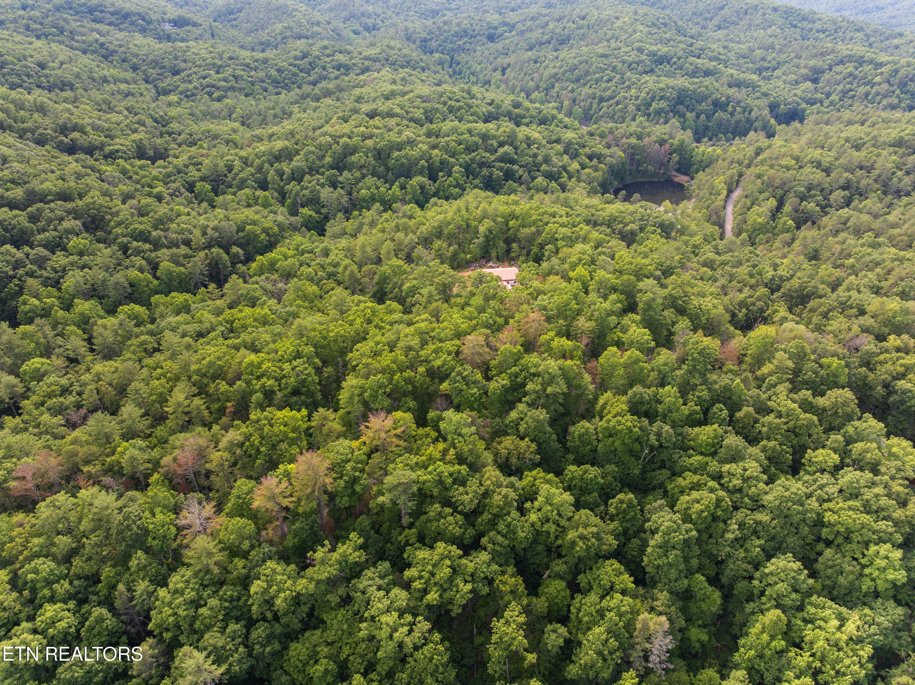 Walland006 - TBD Grouse Top (LOT 3) Rd, Walland, TN 37886