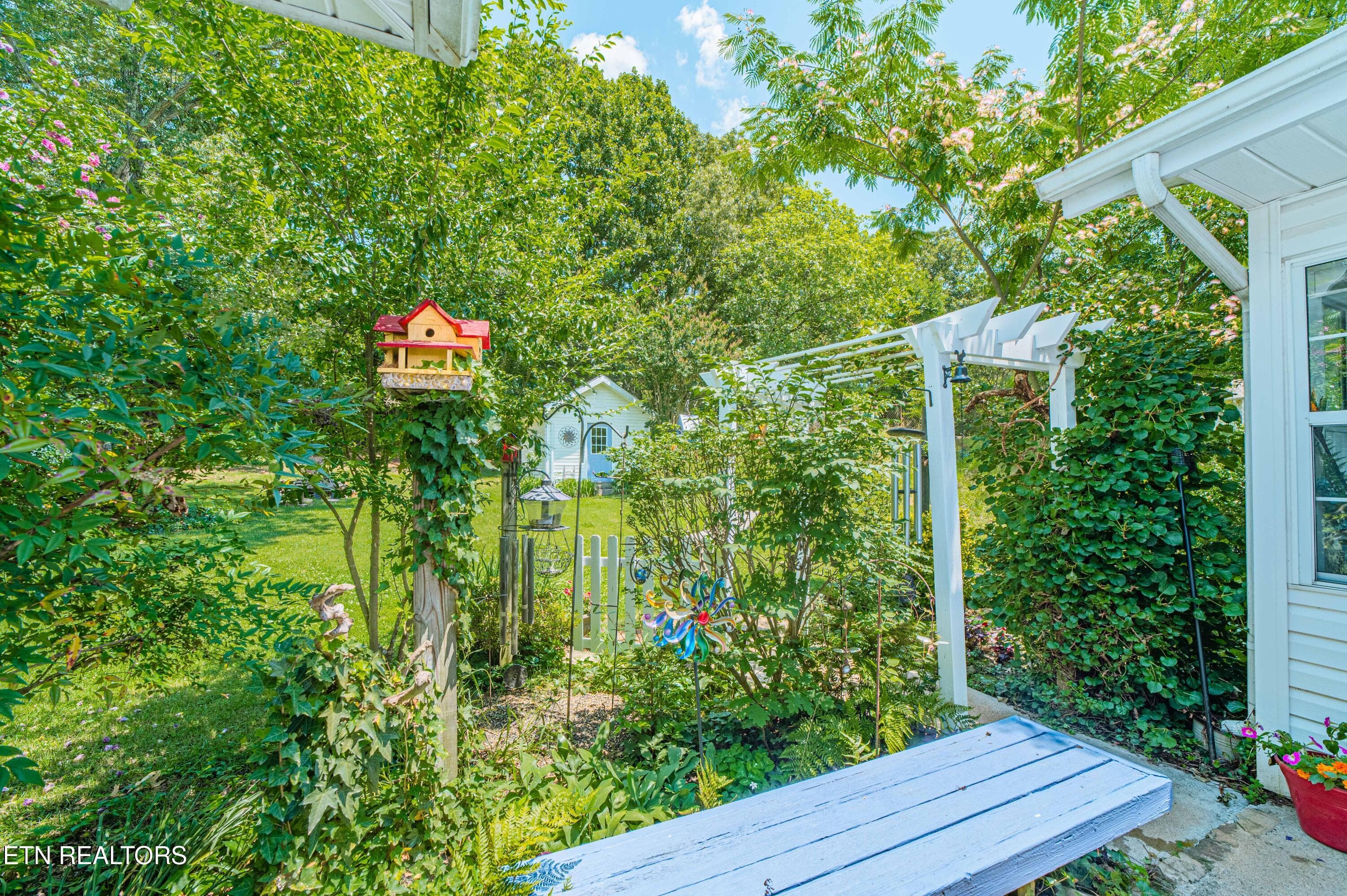 Backyard - 5608 Sierra Rd, Knoxville, TN 37912, Knoxville