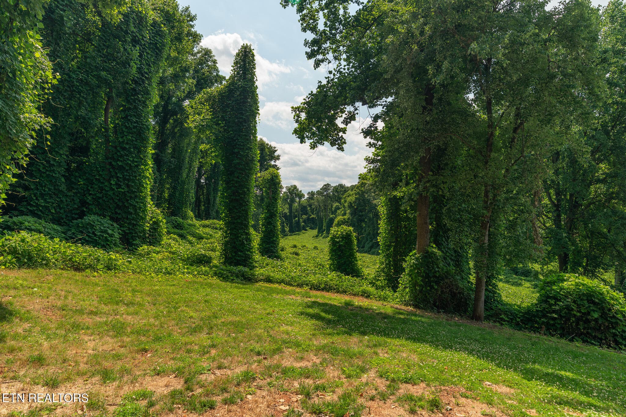 untitled-11 - 218 Jerry Lane, Knoxville, TN 37920, Knoxville