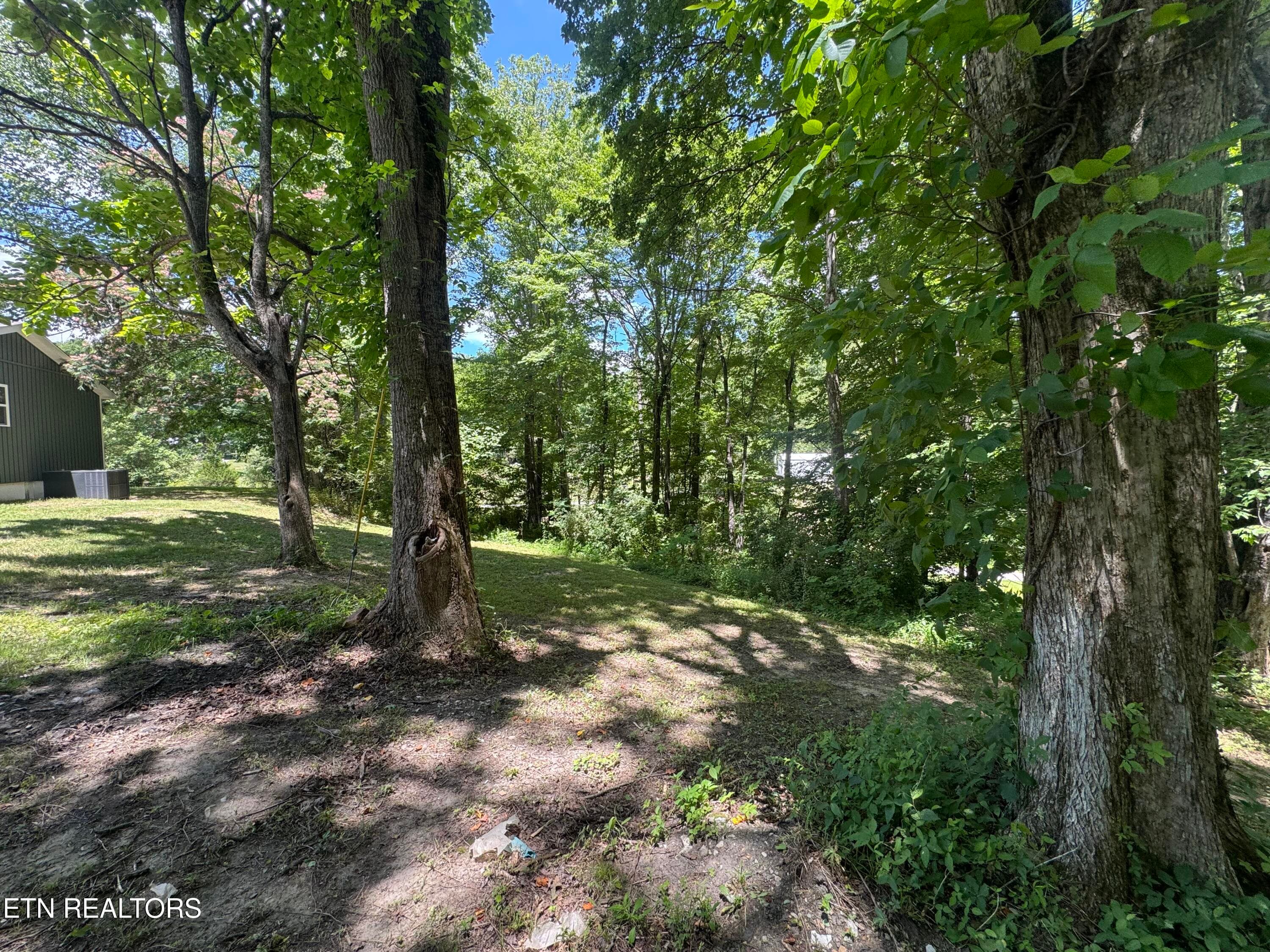 IMG_5509 - 520 W Hills Drive, Huntsville, TN 37756