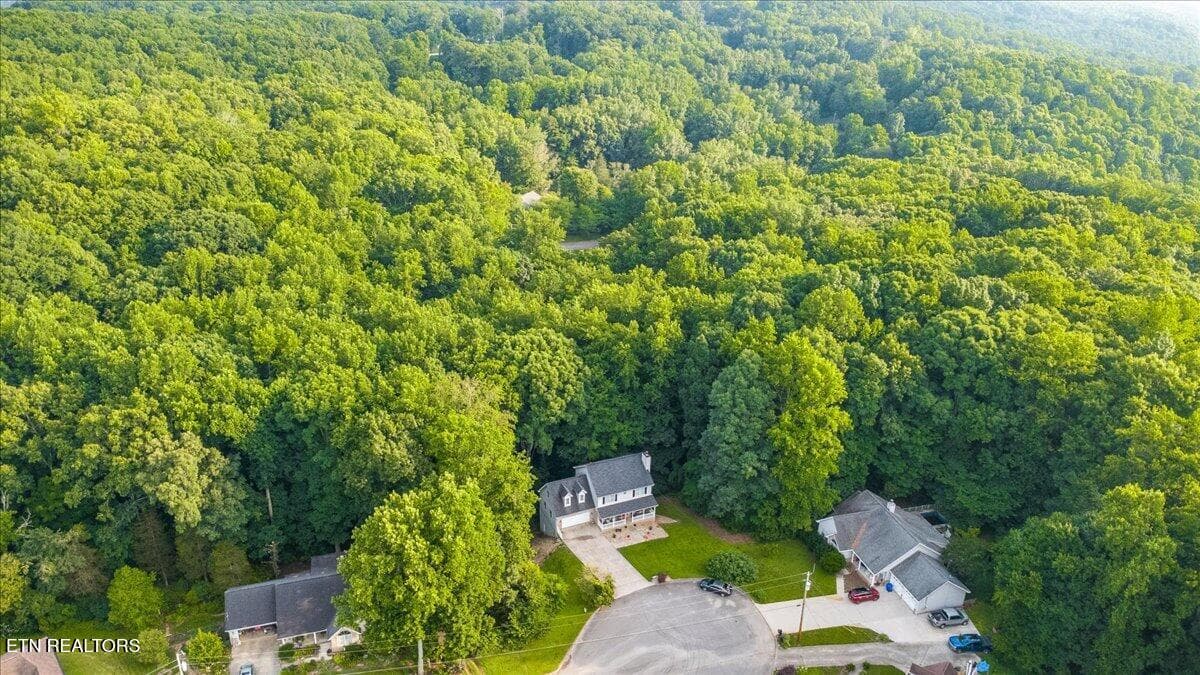 06-153 Autumn Dr - 153 Autumn Drive, Clinton, TN 37716