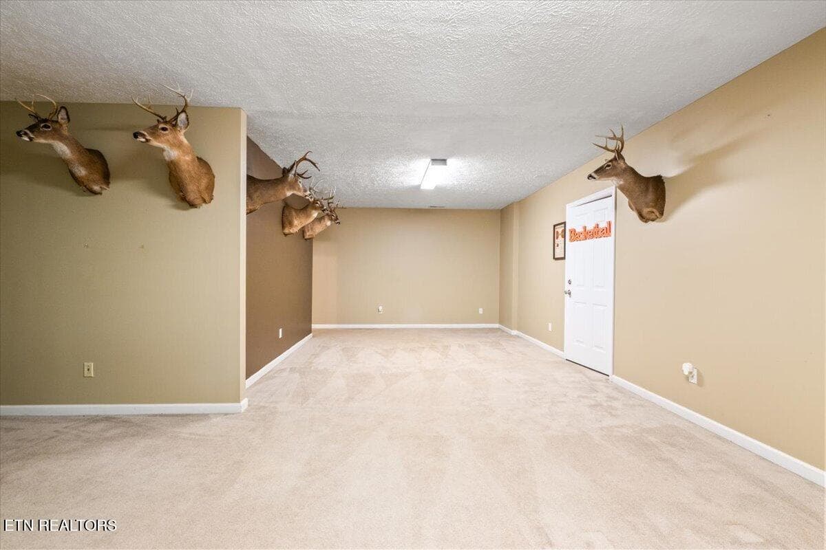 43-153 Autumn Dr - 153 Autumn Drive, Clinton, TN 37716