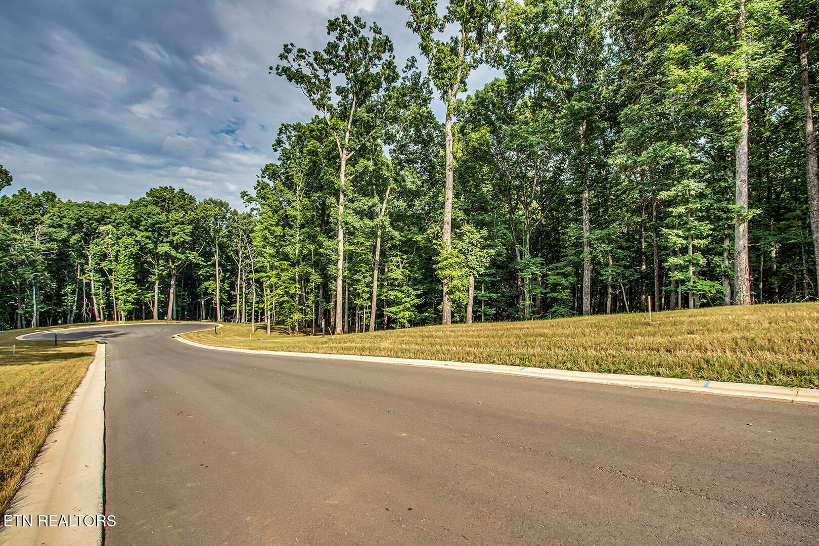 06_326 Flip Flop Way_Street_E-SE - 326 Flip Flop Way, Loudon, TN 37774