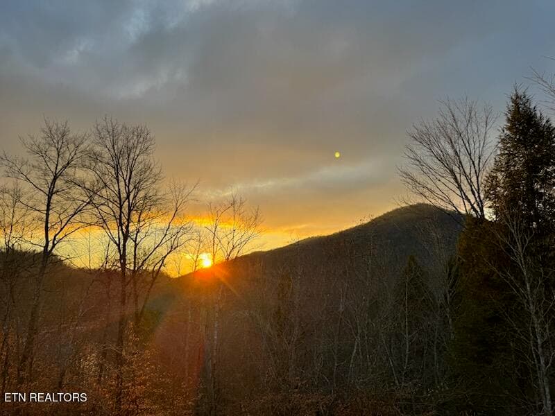 sunrise - 155 Island Rd, New Tazewell, TN 37825