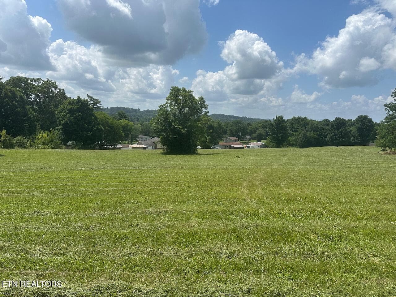 IMG_1206 - 1035 Green Rd, Madisonville, TN 37354