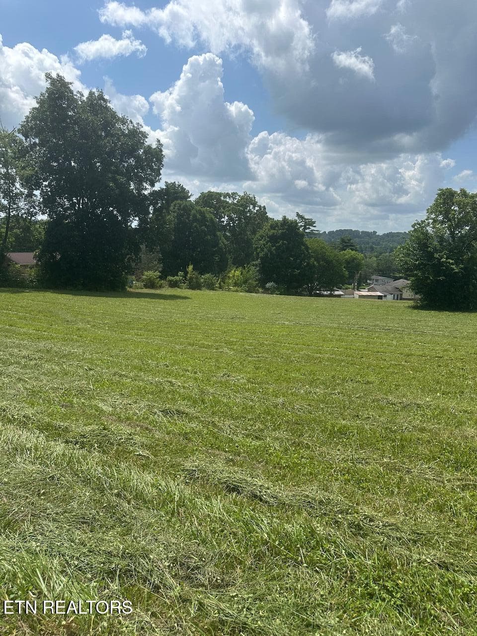 IMG_1207 - 1035 Green Rd, Madisonville, TN 37354